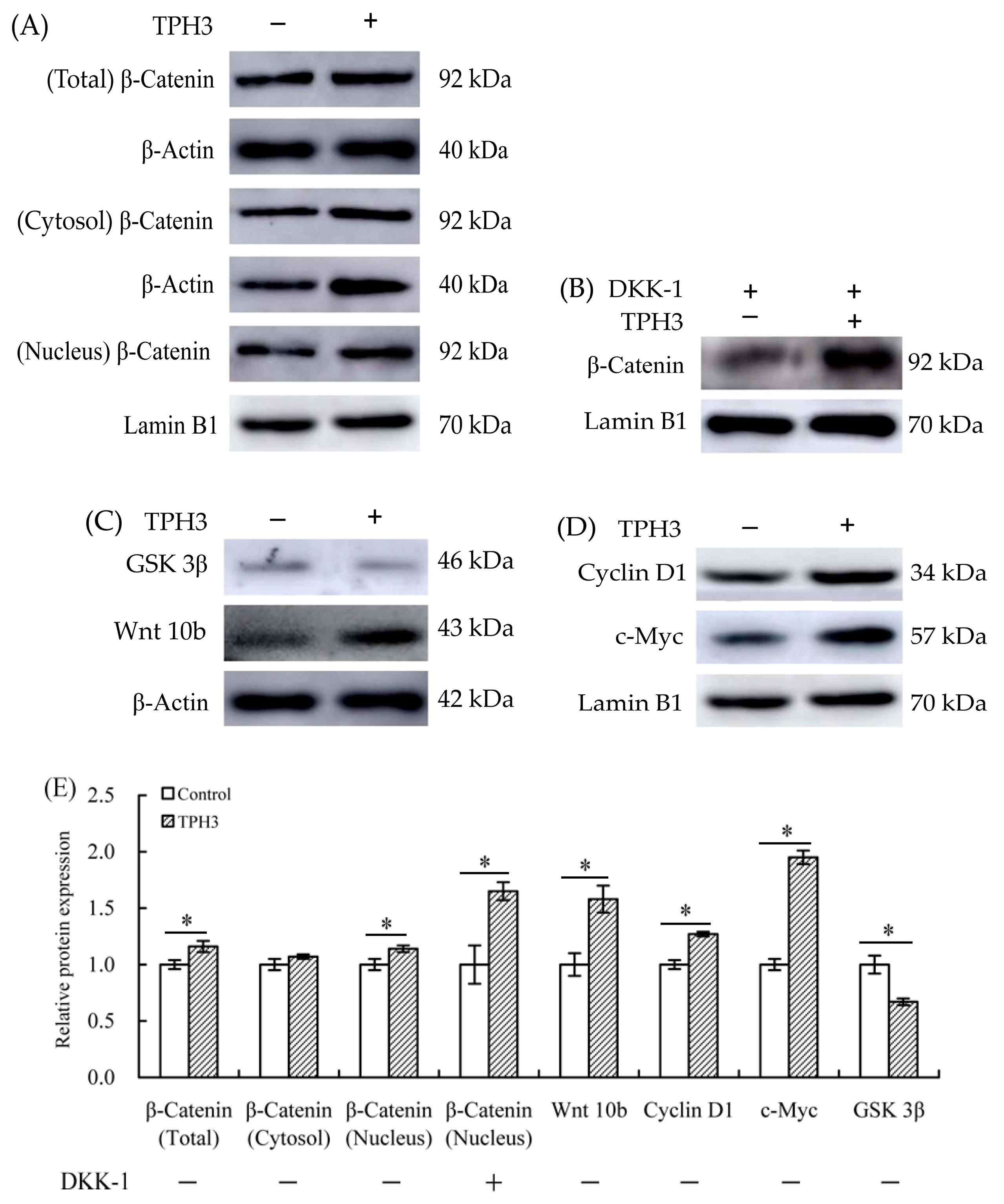 Molecules 23 01287 g008 Molecules 23 01287 g008