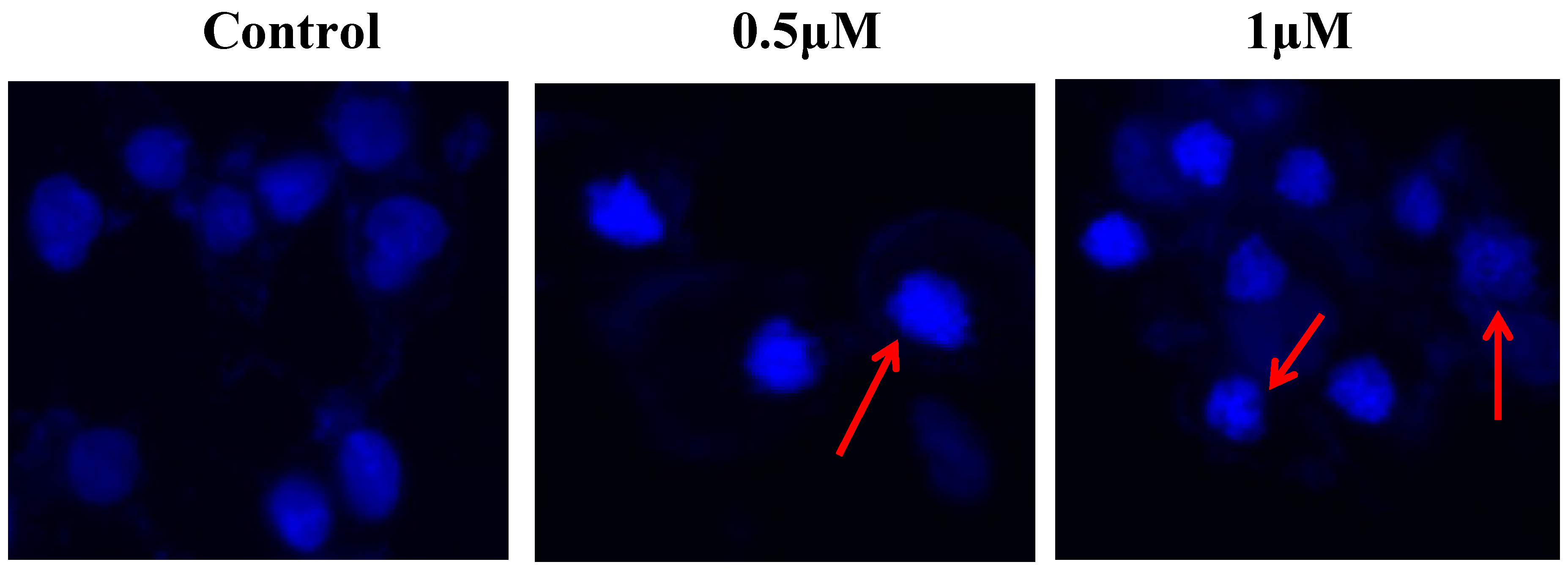 Molecules 23 01288 g006 550