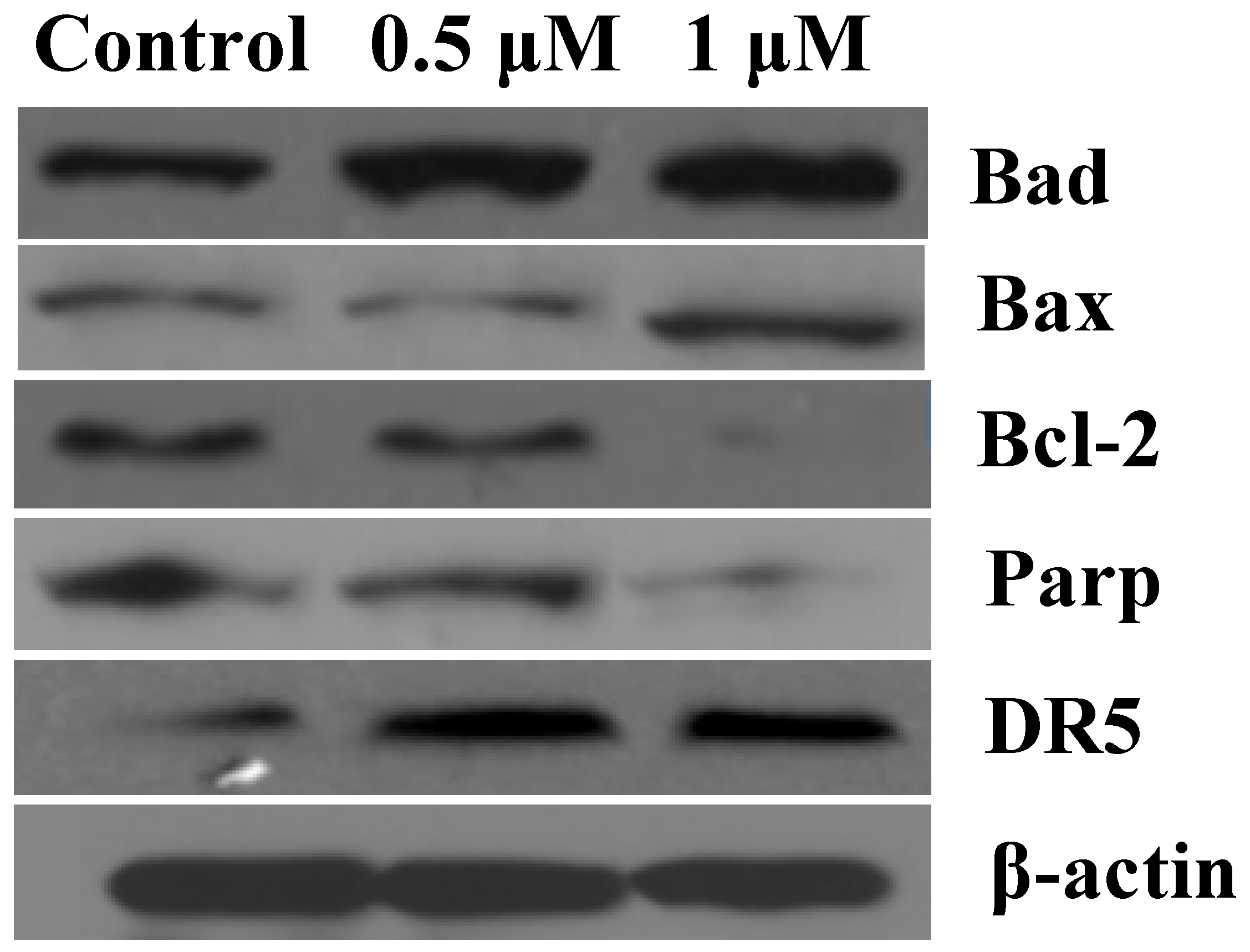 Molecules 23 01288 g008 550