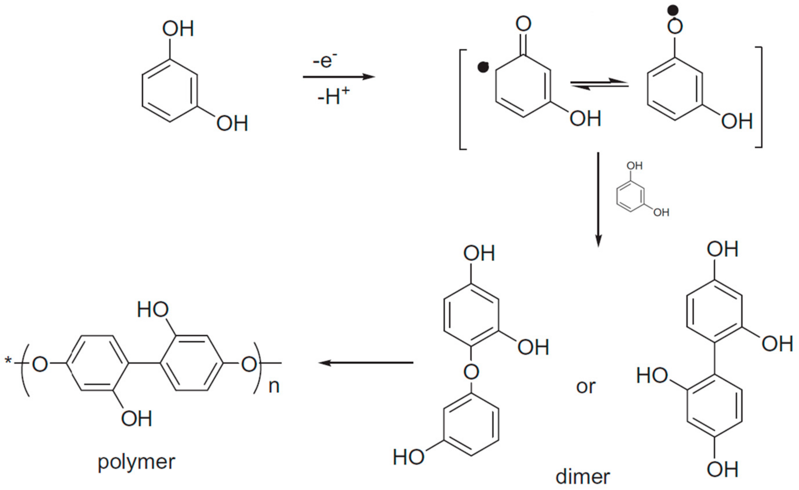 Molecules Free FullText Electrodegradation of Resorcinol on Pure