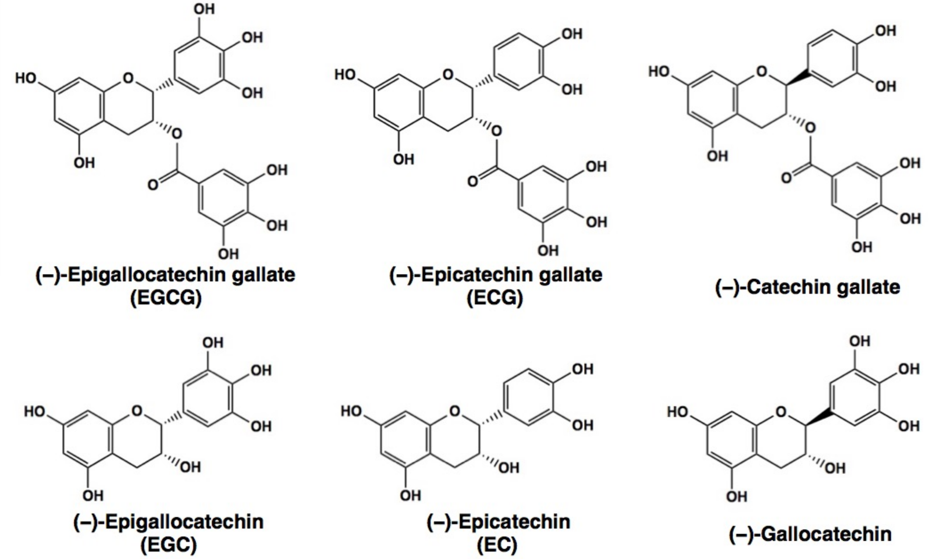 Molecules 23 01295 g001 Molecules 23 01295 g001