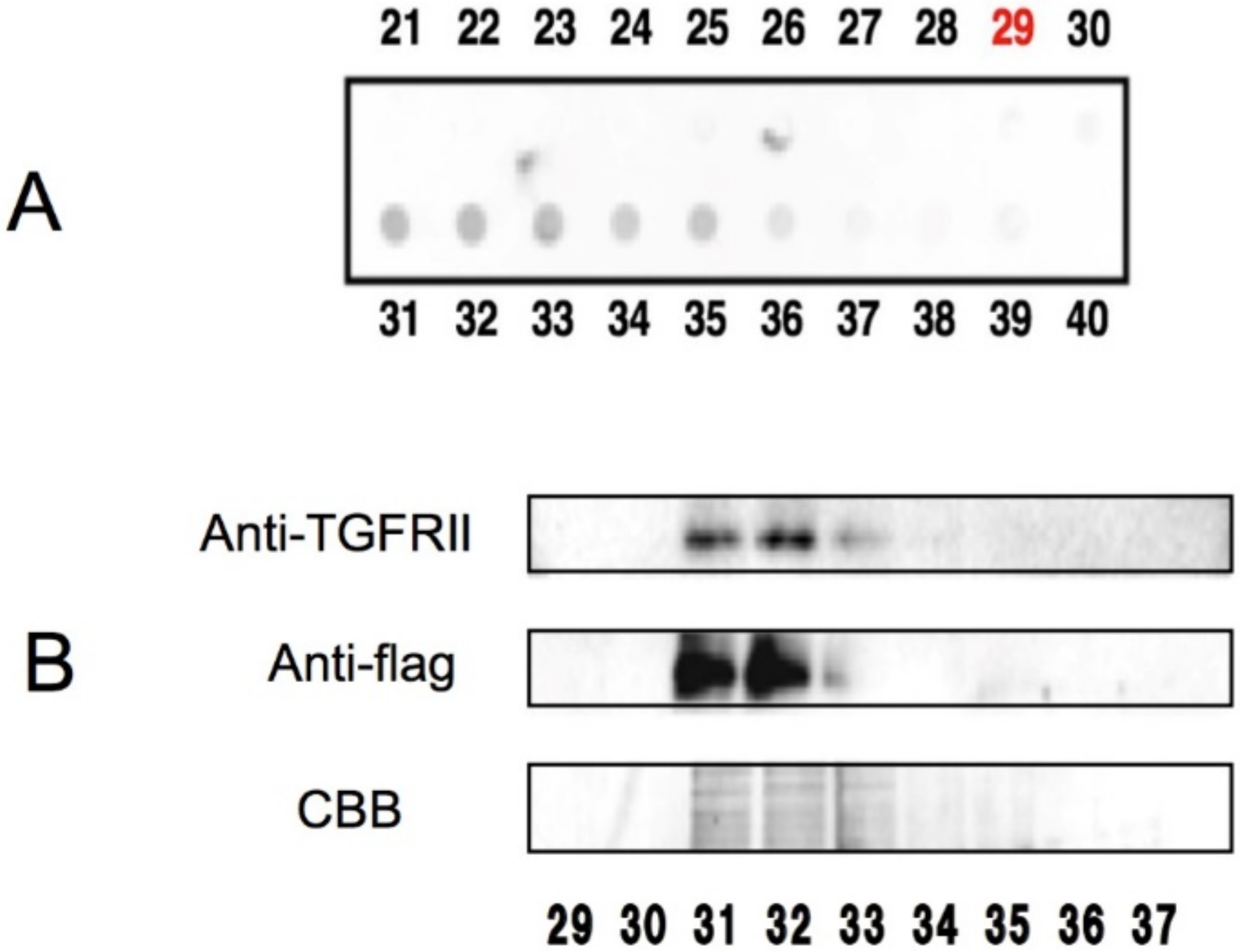 Molecules 23 01295 g002 Molecules 23 01295 g002