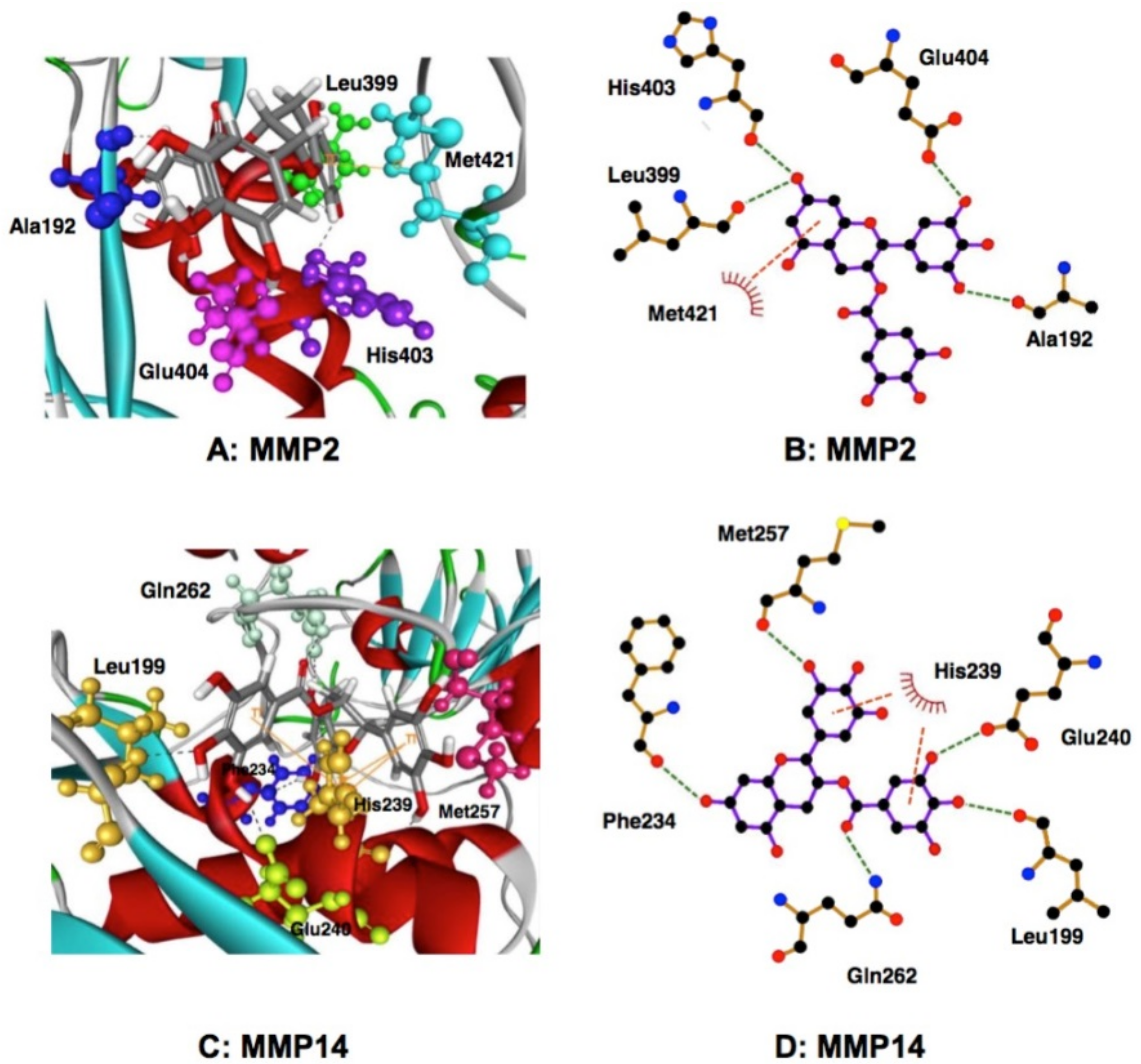 Molecules 23 01295 g003 Molecules 23 01295 g003