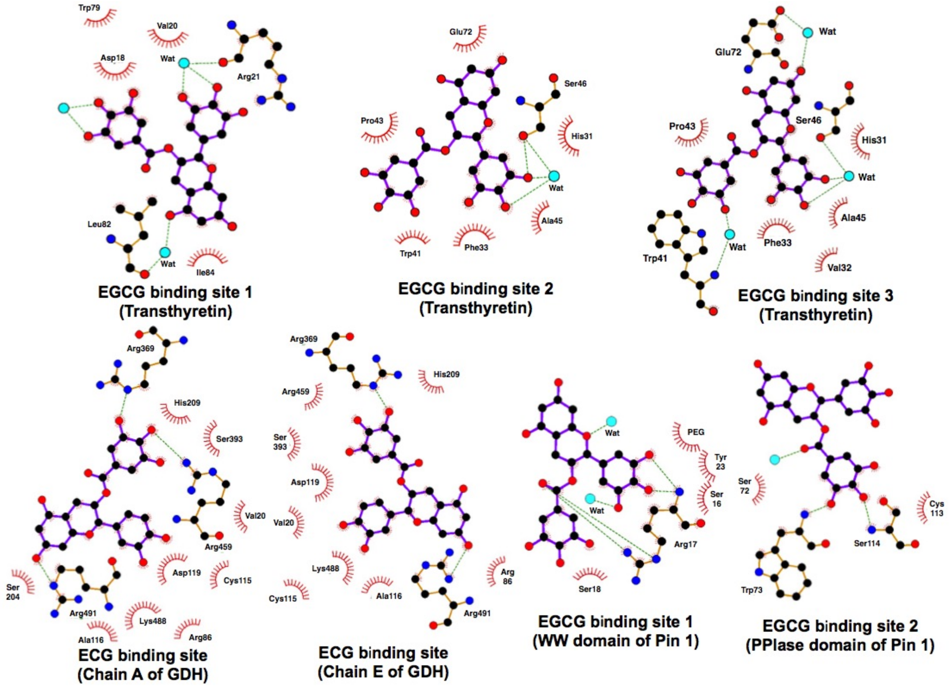 Molecules 23 01295 g004 Molecules 23 01295 g004