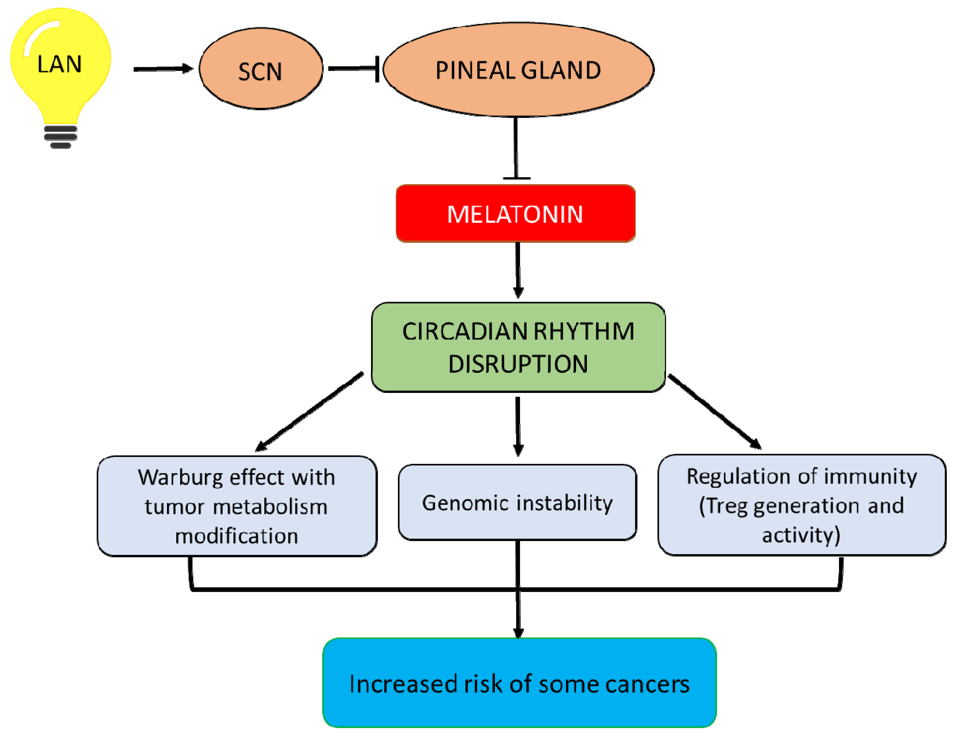 Molecules 23 01308 g001