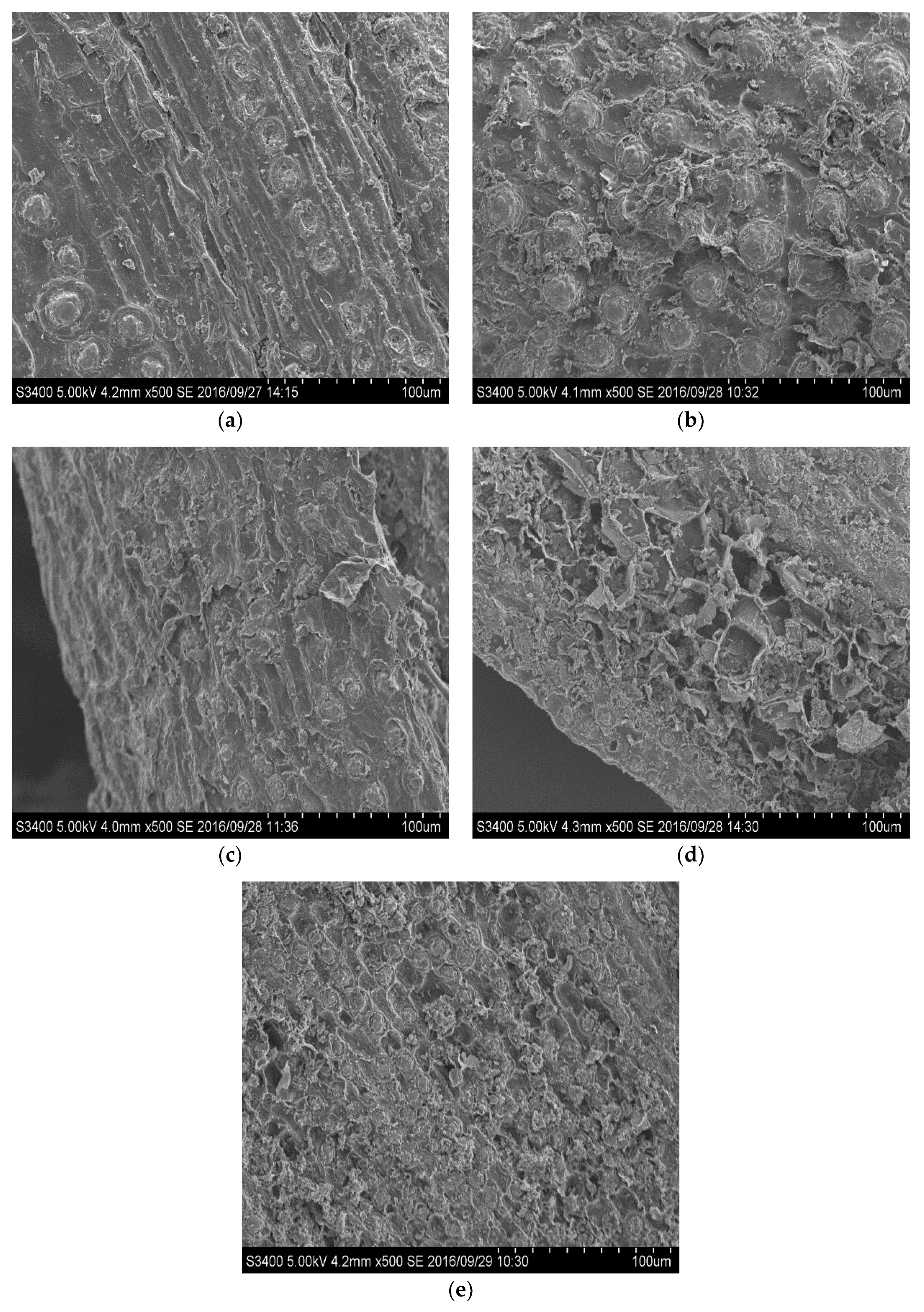 Molecules 23 01310 g002