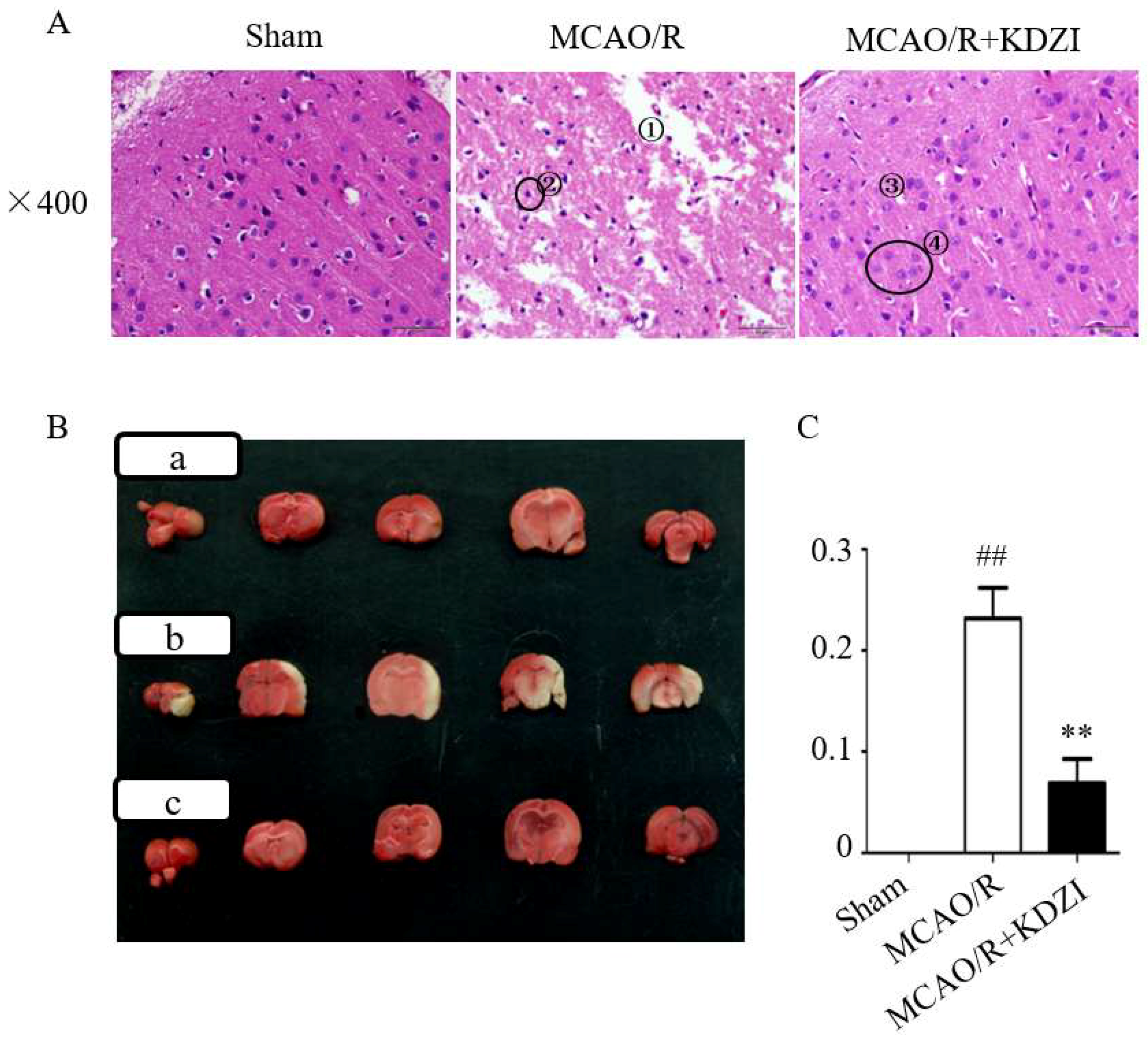 Molecules 23 01315 g001