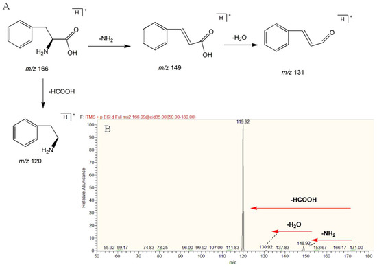 UPLC-HRMS-Based Plasma Metabolomic Profiling of Novel