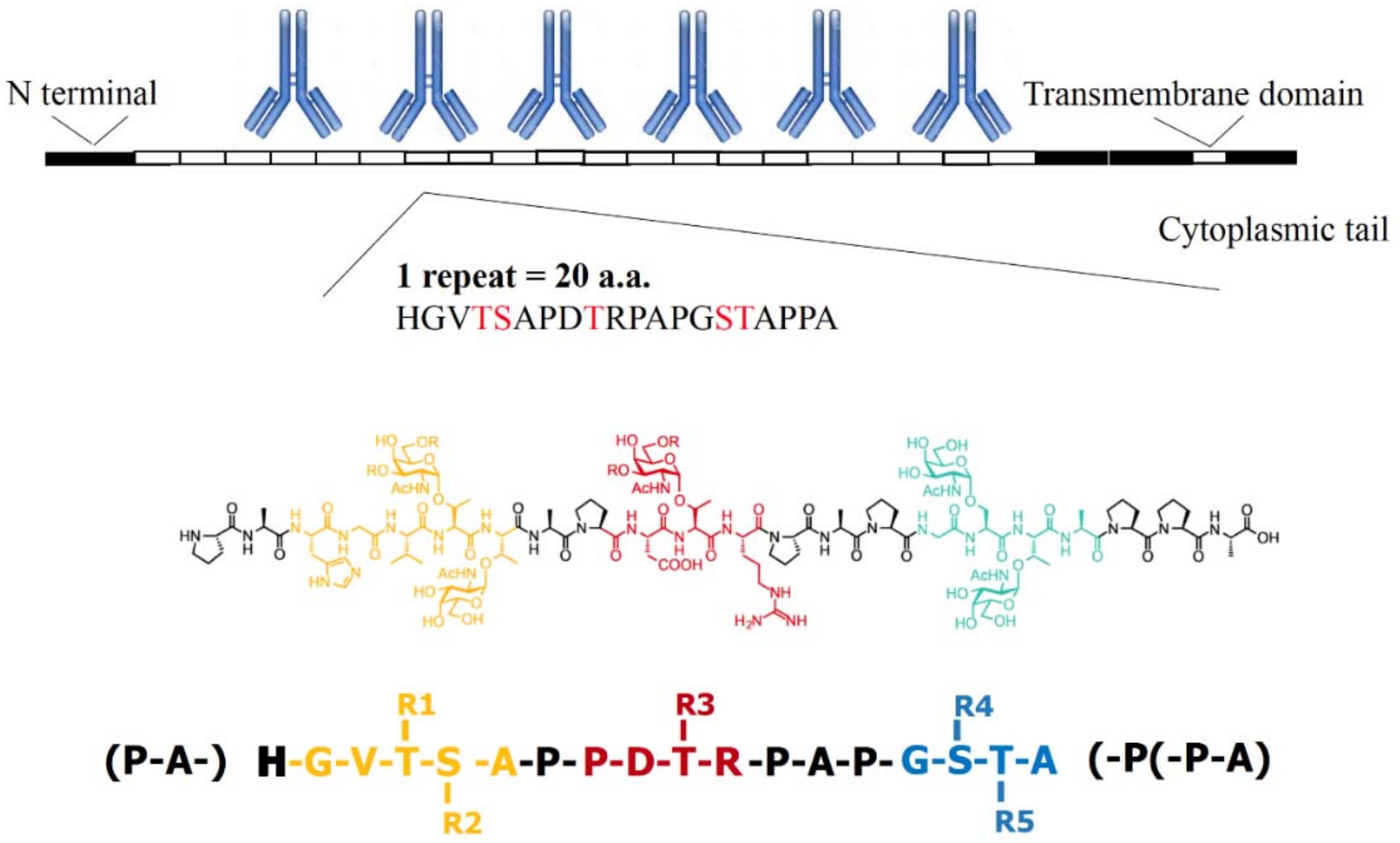 Molecules 23 01326 g001