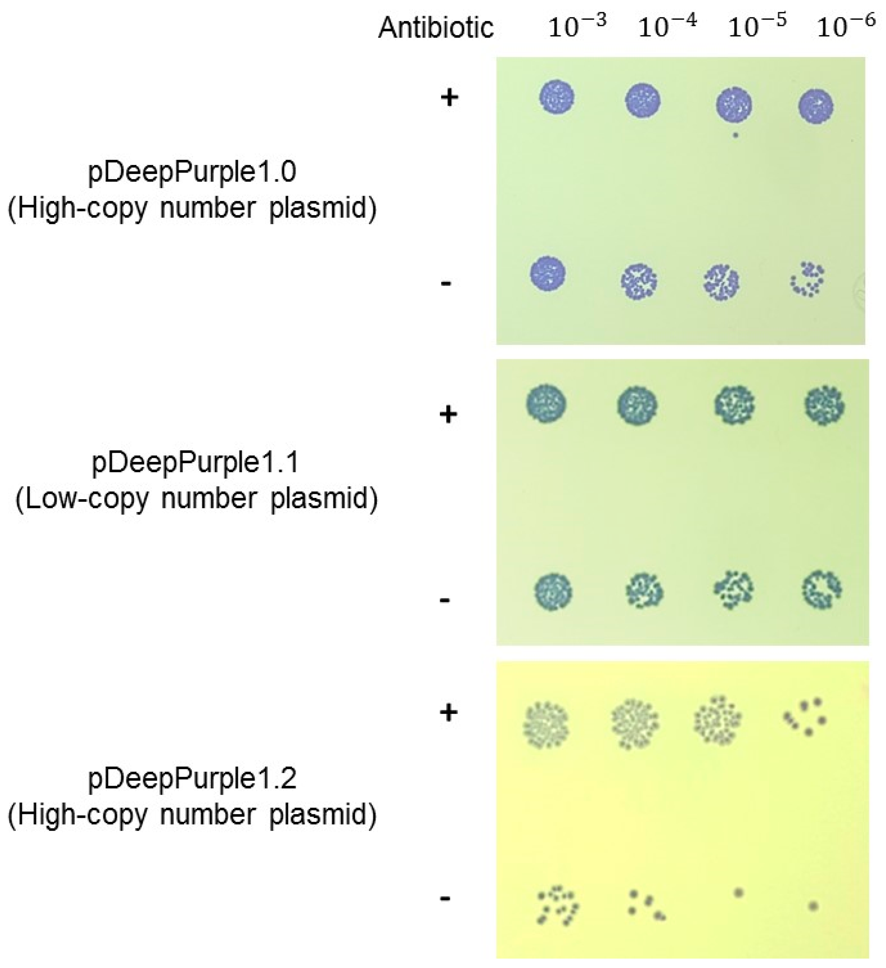 Molecules 23 01328 g003 Molecules 23 01328 g003