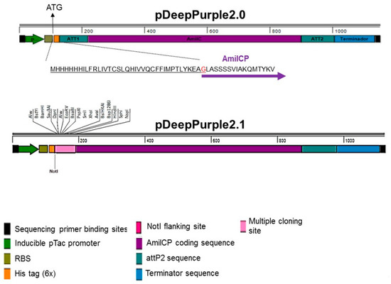 capto plasmid select capto plasmid select
