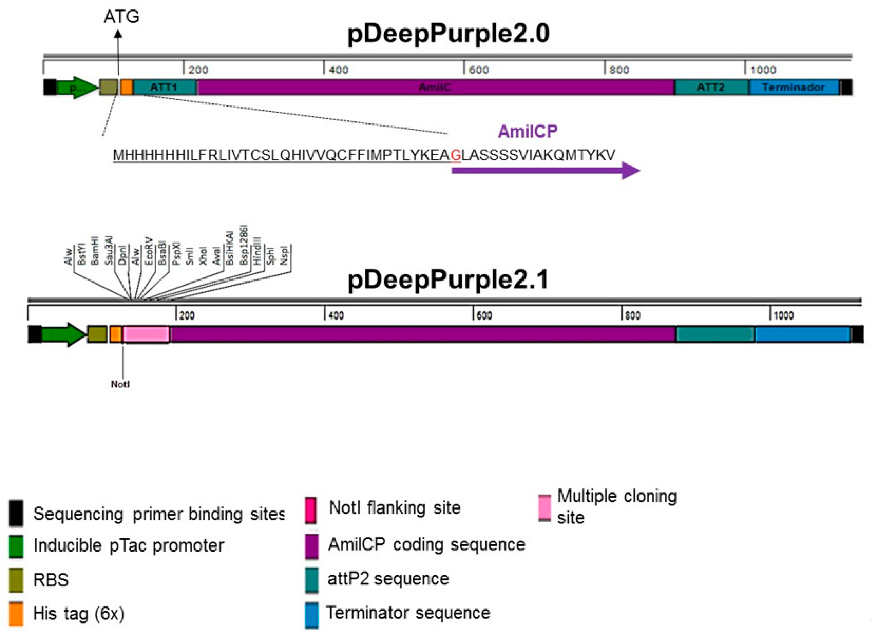 Molecules 23 01328 g004 Molecules 23 01328 g004