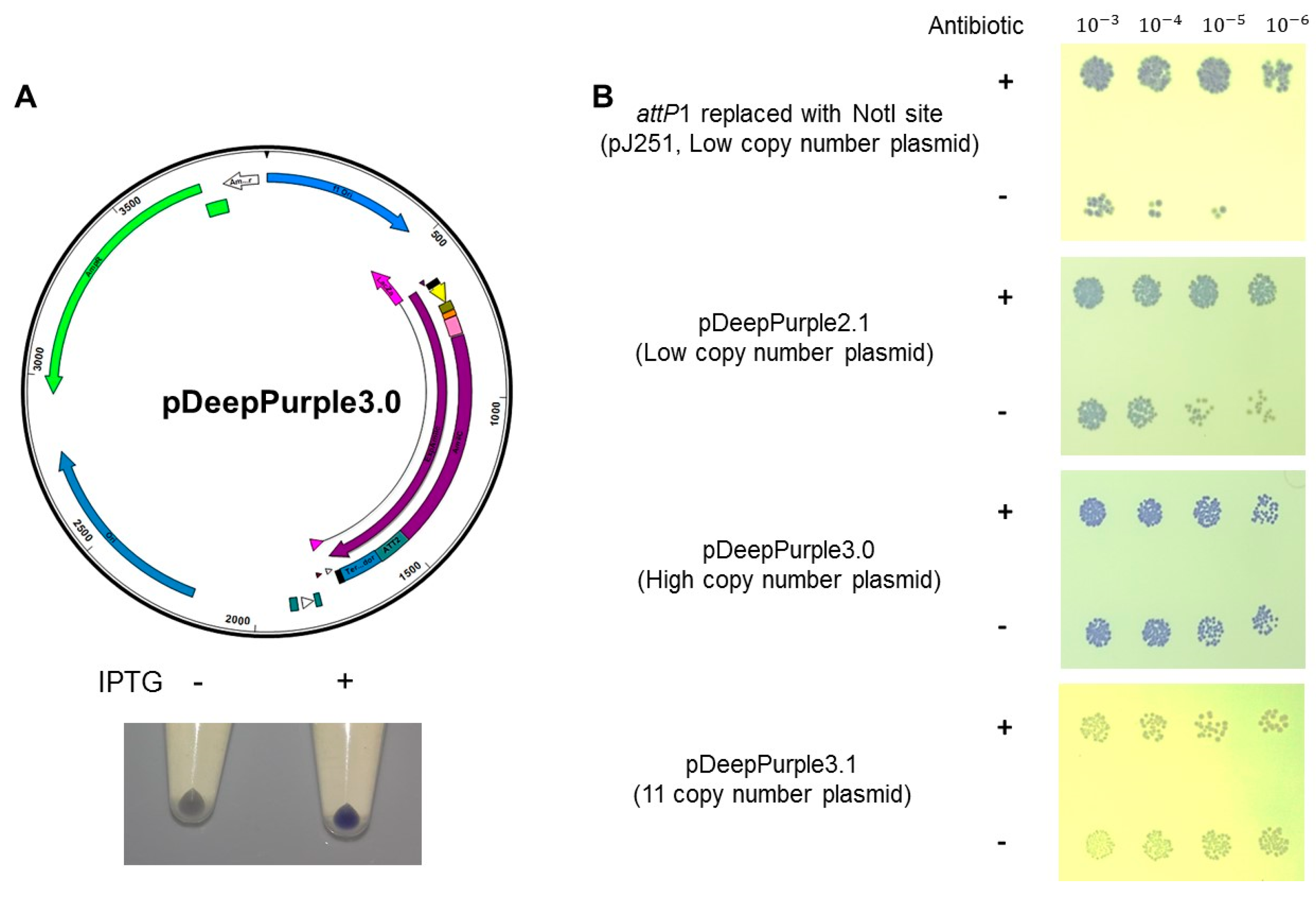 Molecules 23 01328 g005 Molecules 23 01328 g005