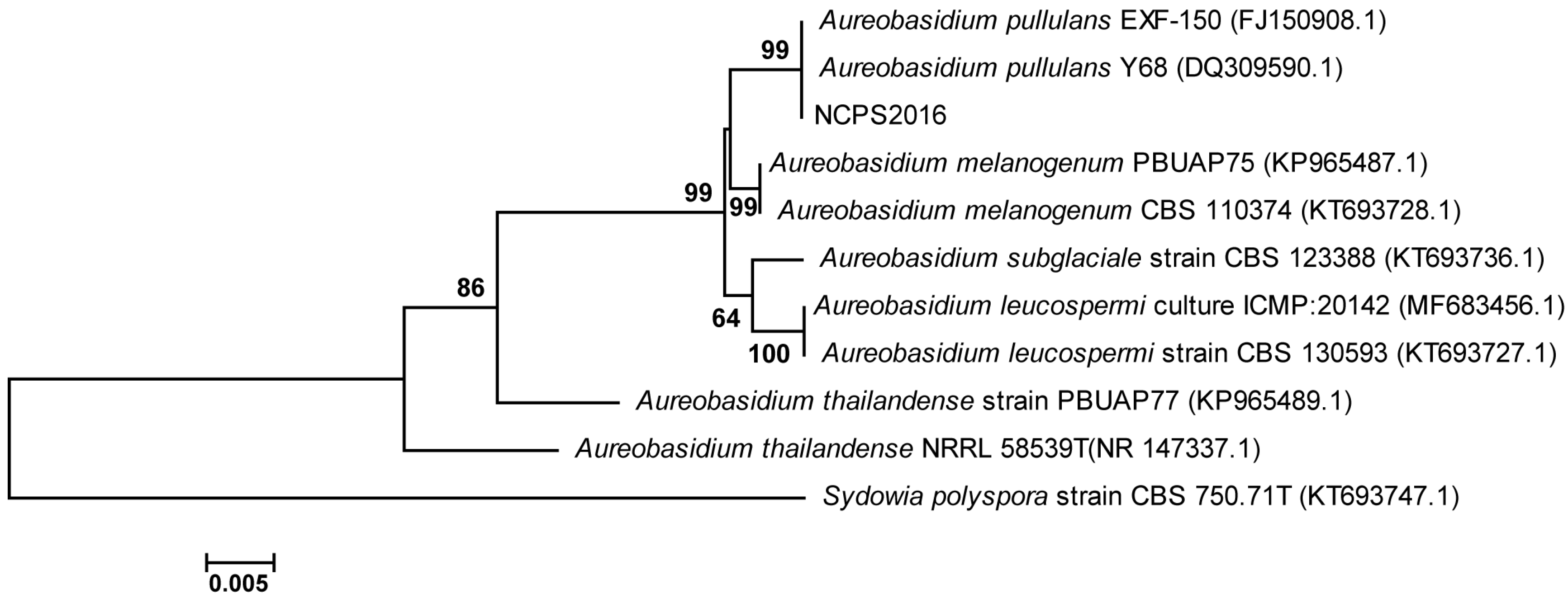 Molecules 23 01334 g001