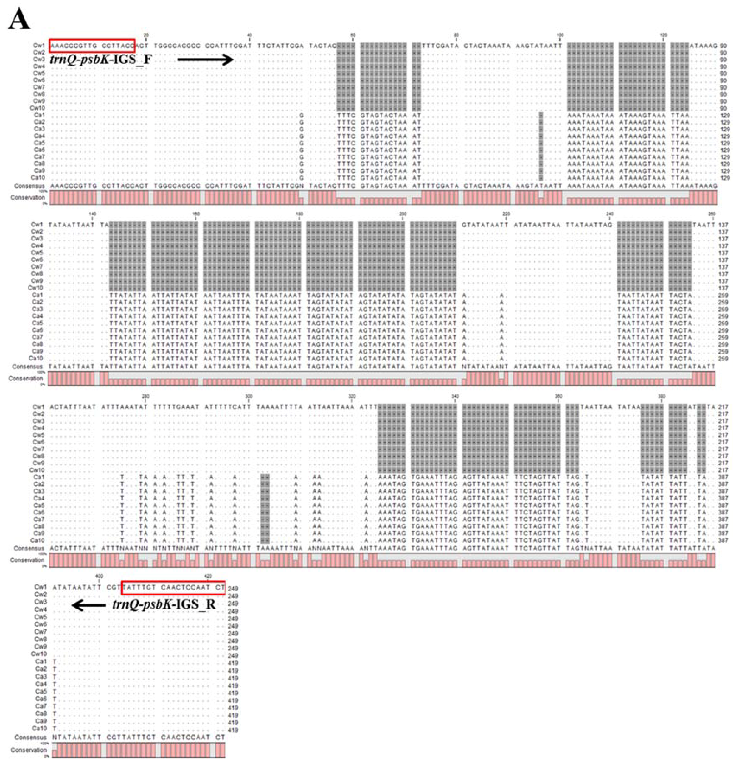 clc sequence viewer ncbi clc sequence viewer ncbi