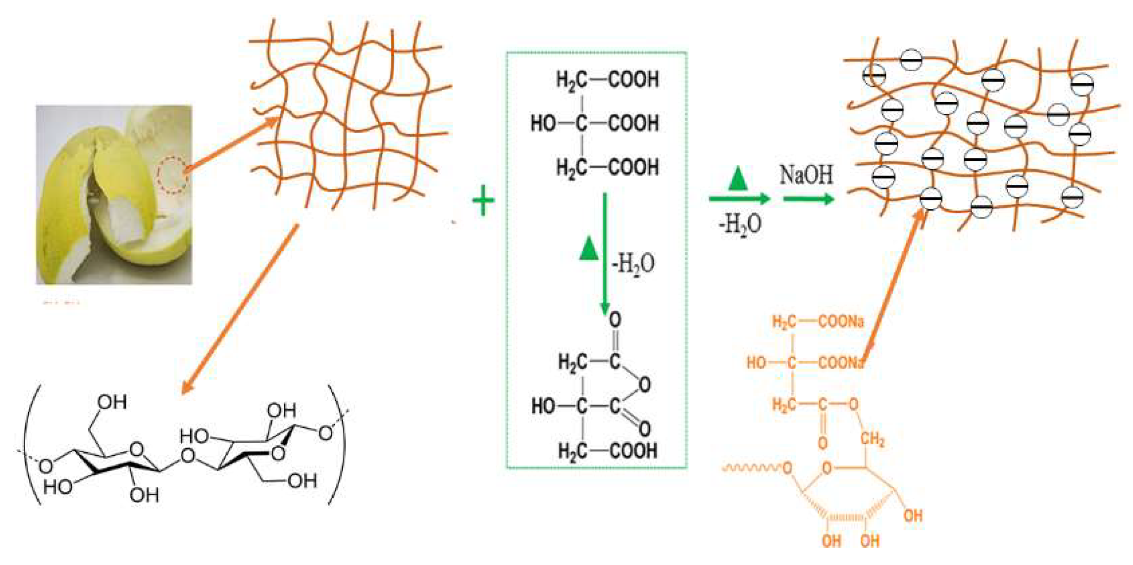 Molecules 23 01342 g008 550