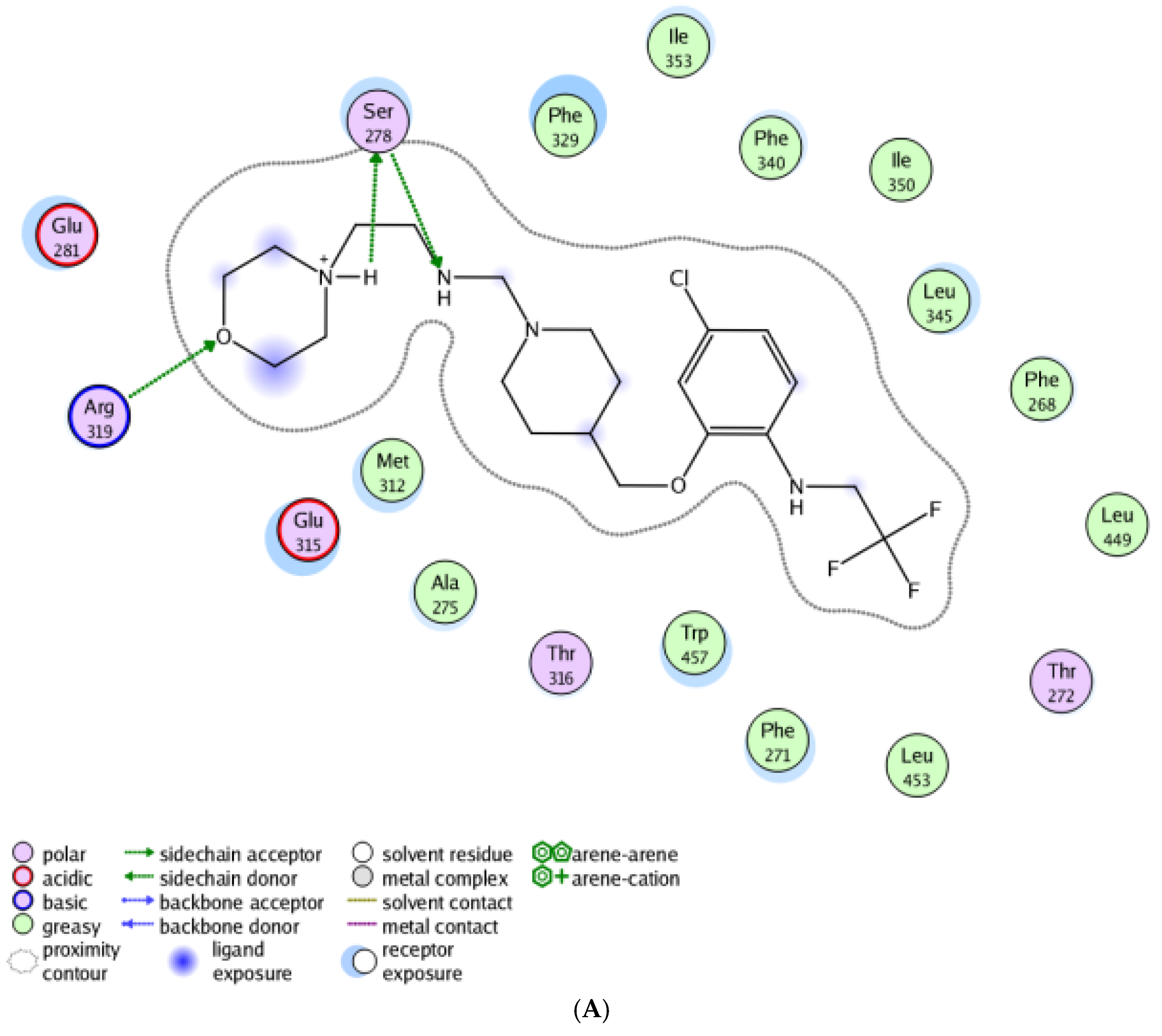 Molecules 23 01349 g003a Molecules 23 01349 g003a