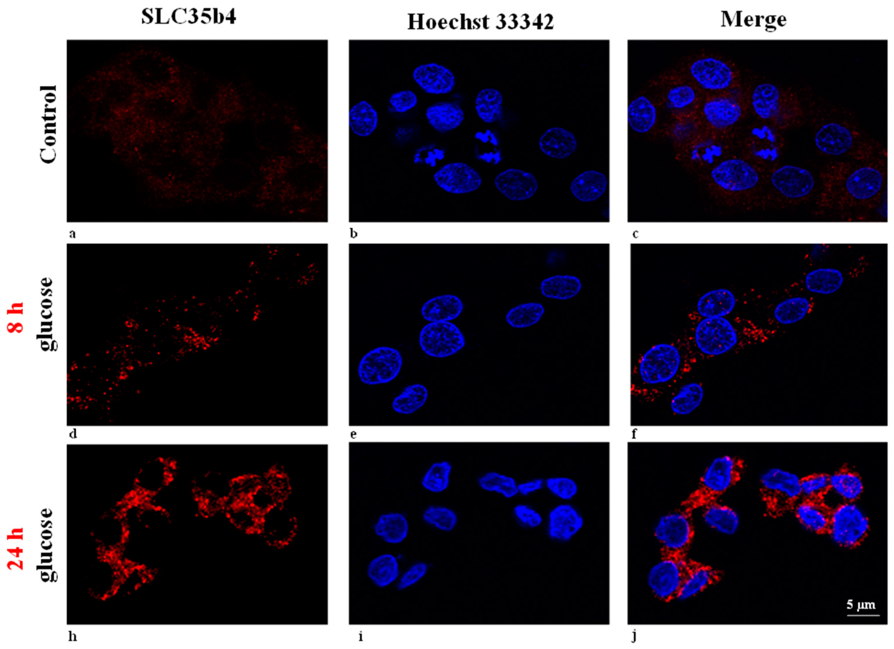 Molecules 23 01350 g001