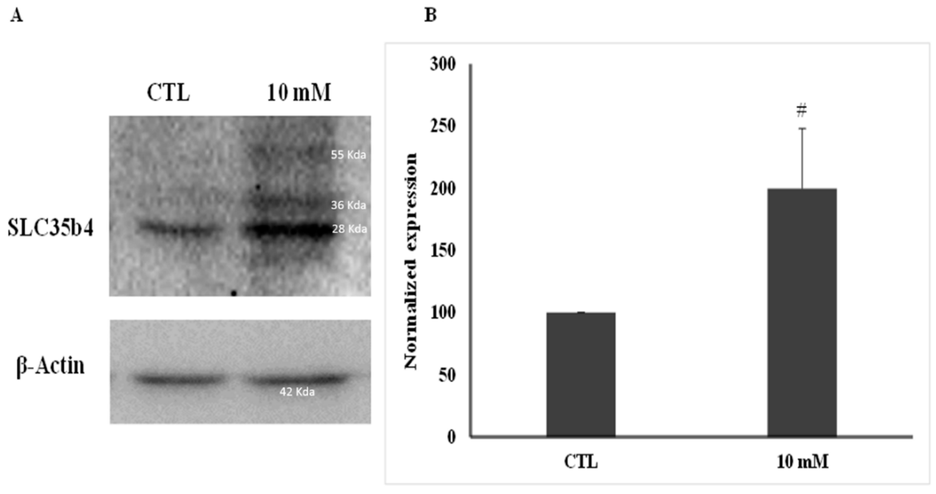 Molecules 23 01350 g002