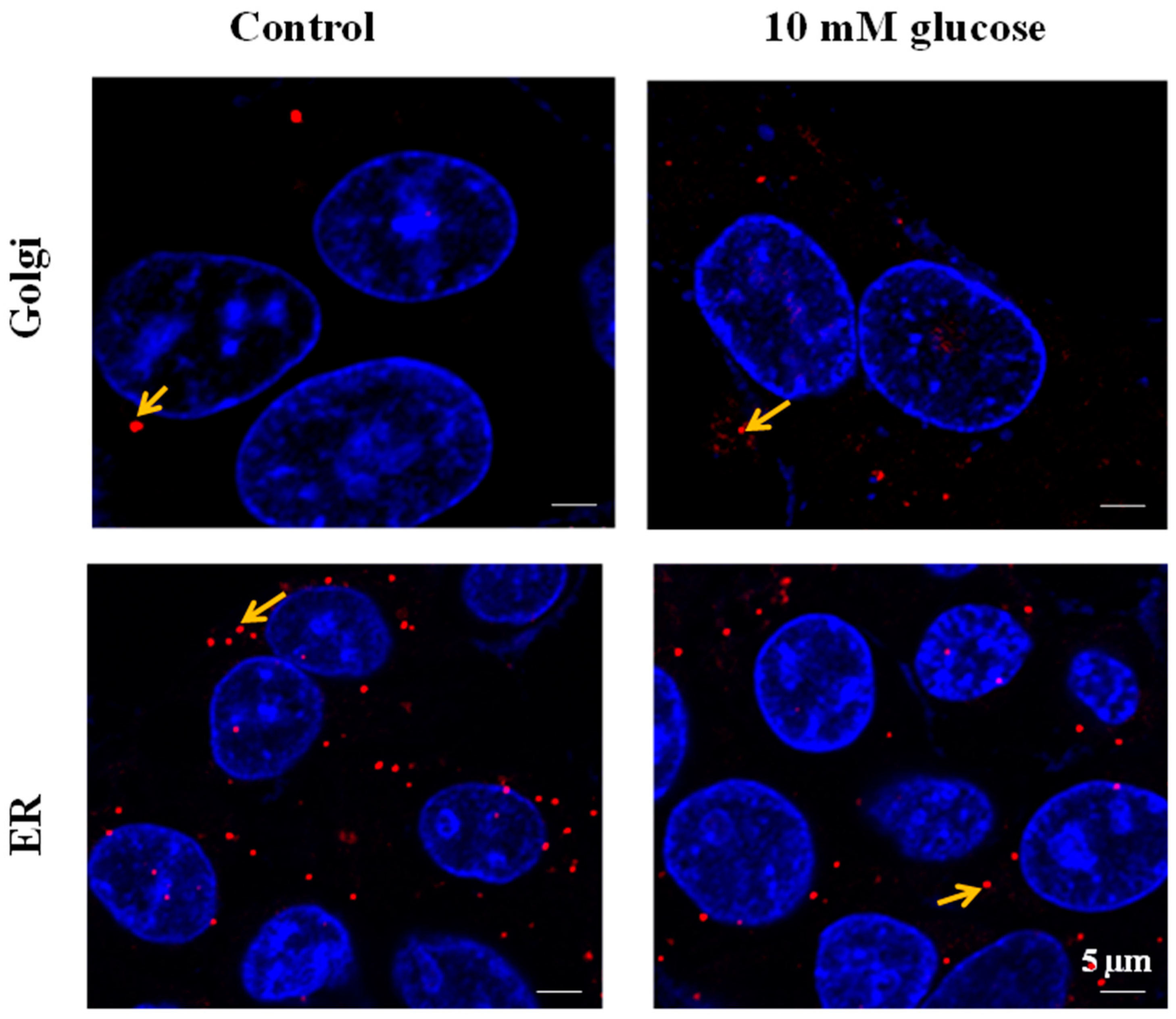 Molecules 23 01350 g003