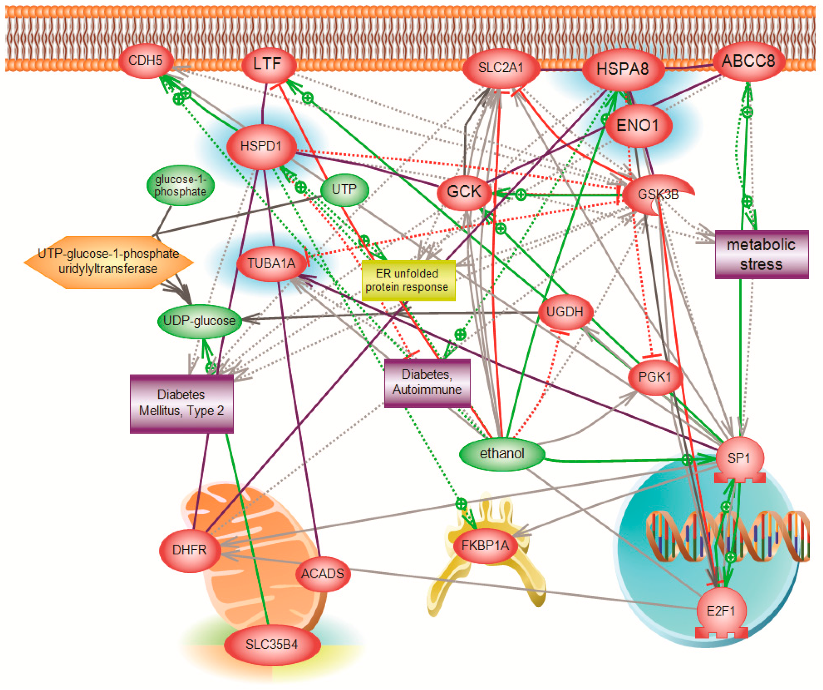 Molecules 23 01350 g006