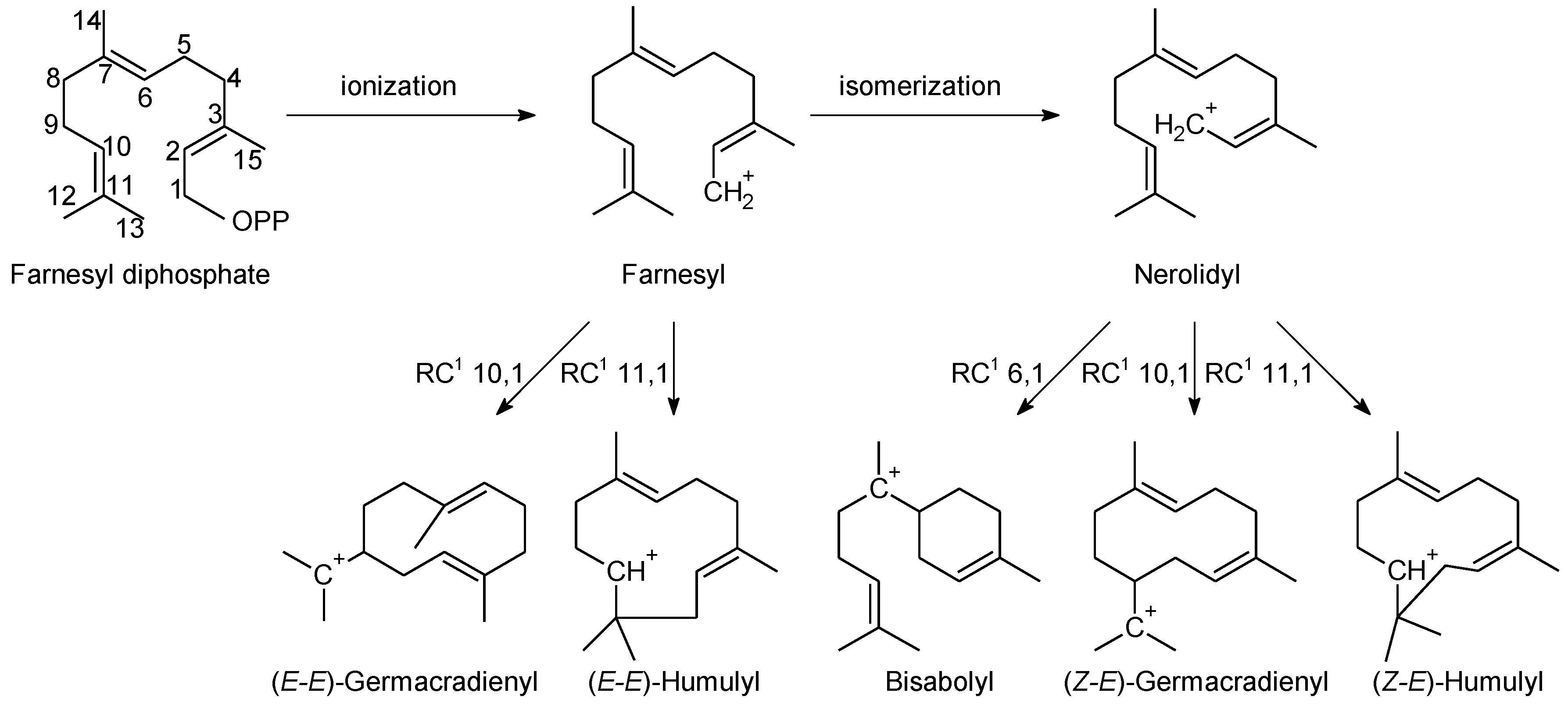 Molecules 23 01353 g001 Molecules 23 01353 g001