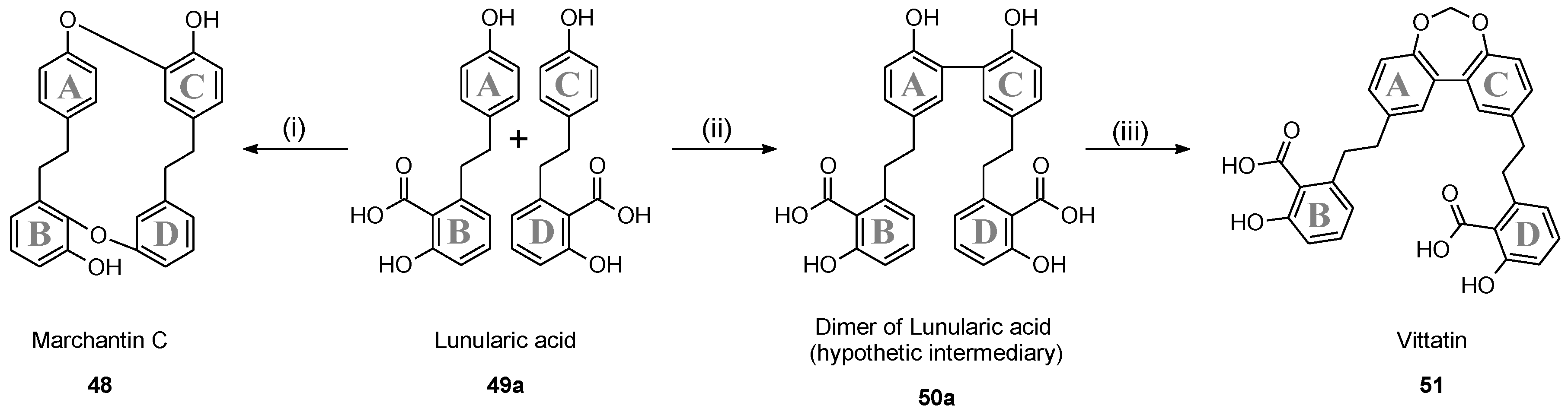 Molecules 23 01353 g006 Molecules 23 01353 g006