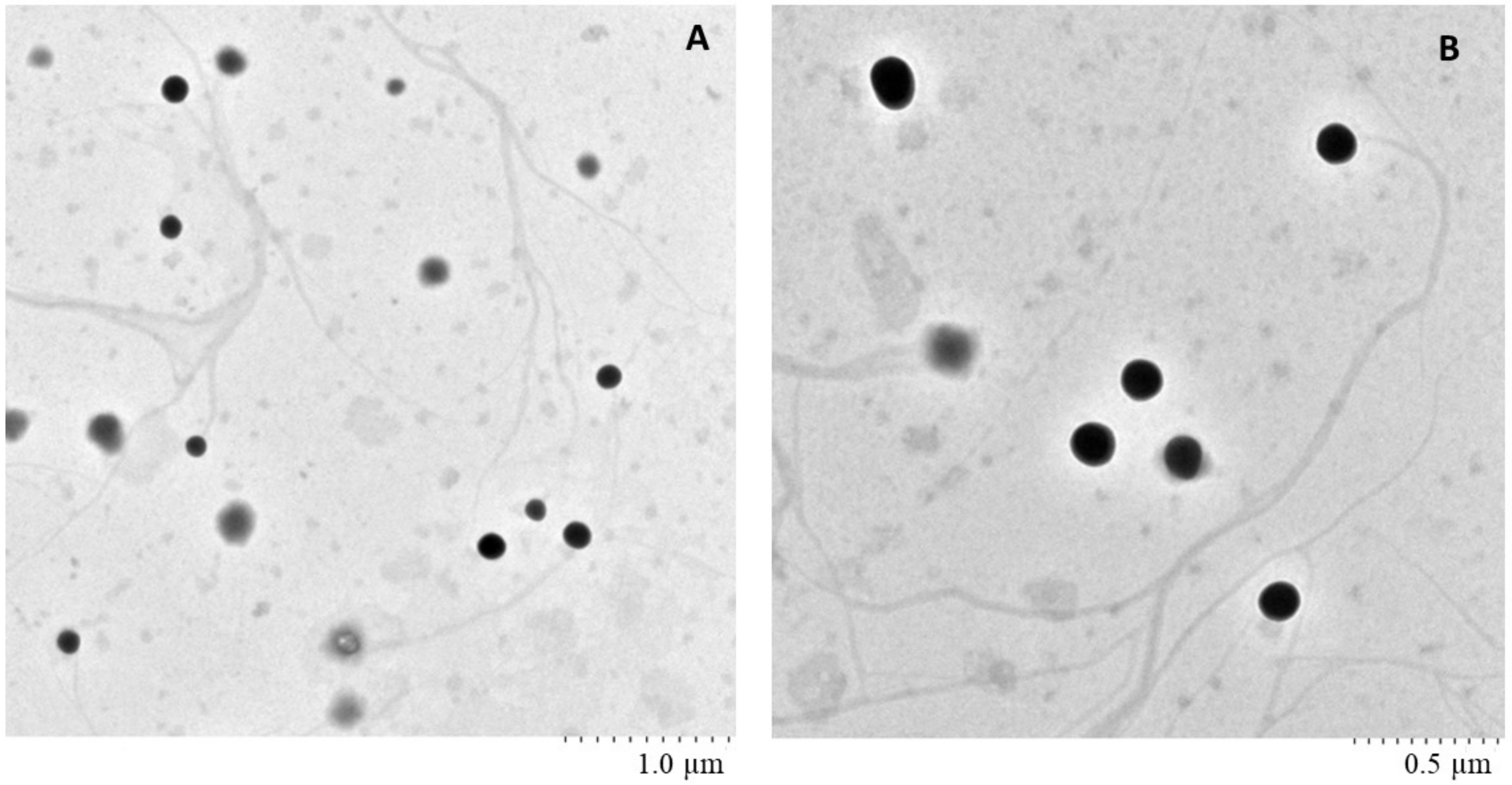 Molecules 23 01363 g003 Molecules 23 01363 g003