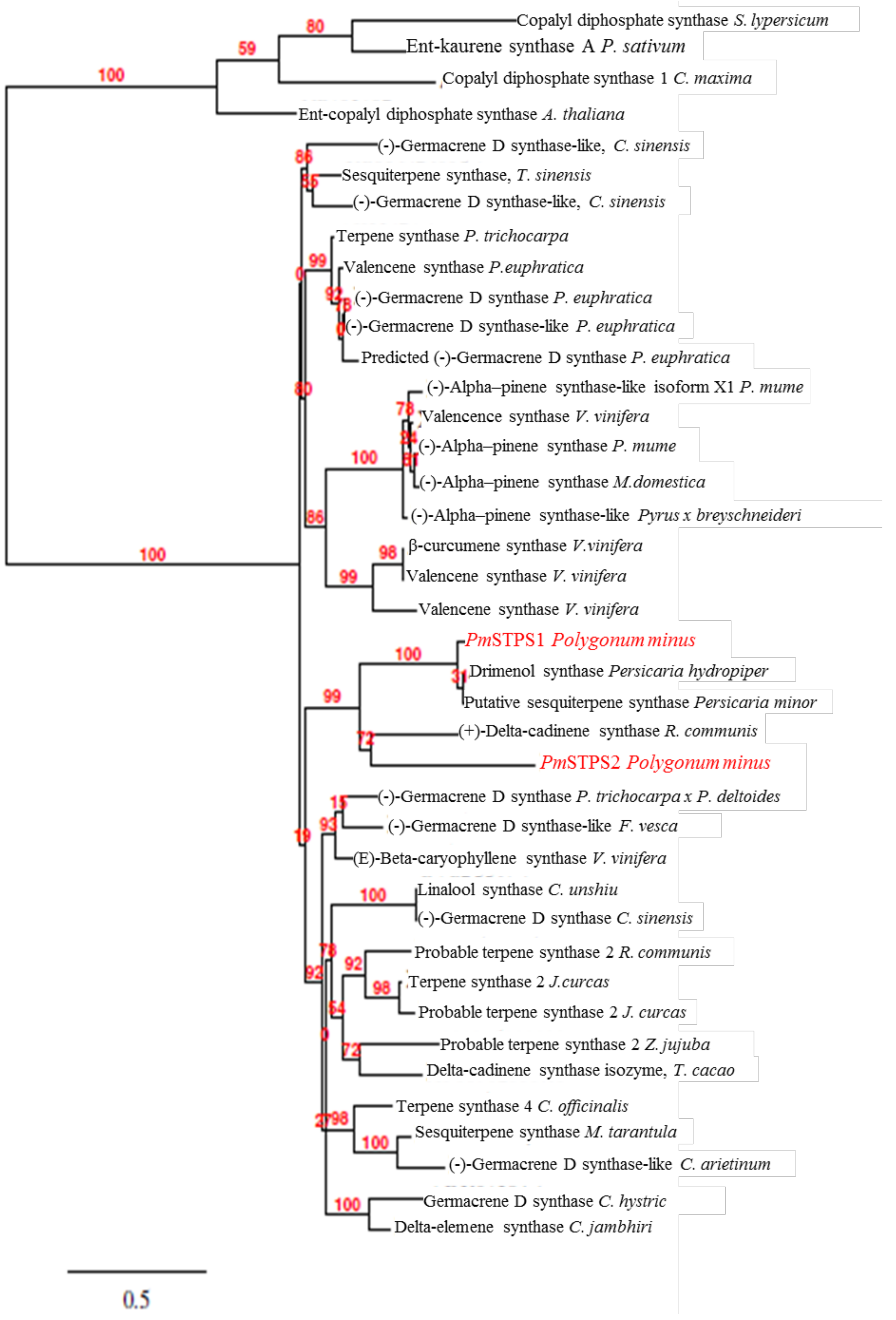 Molecules 23 01370 g002 Molecules 23 01370 g002