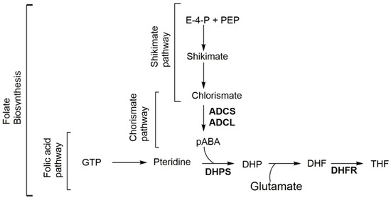 Molecules Free Full Text Review On Abyssomicins Inhibitors Of The Chorismate Pathway And Folate Biosynthesis Html