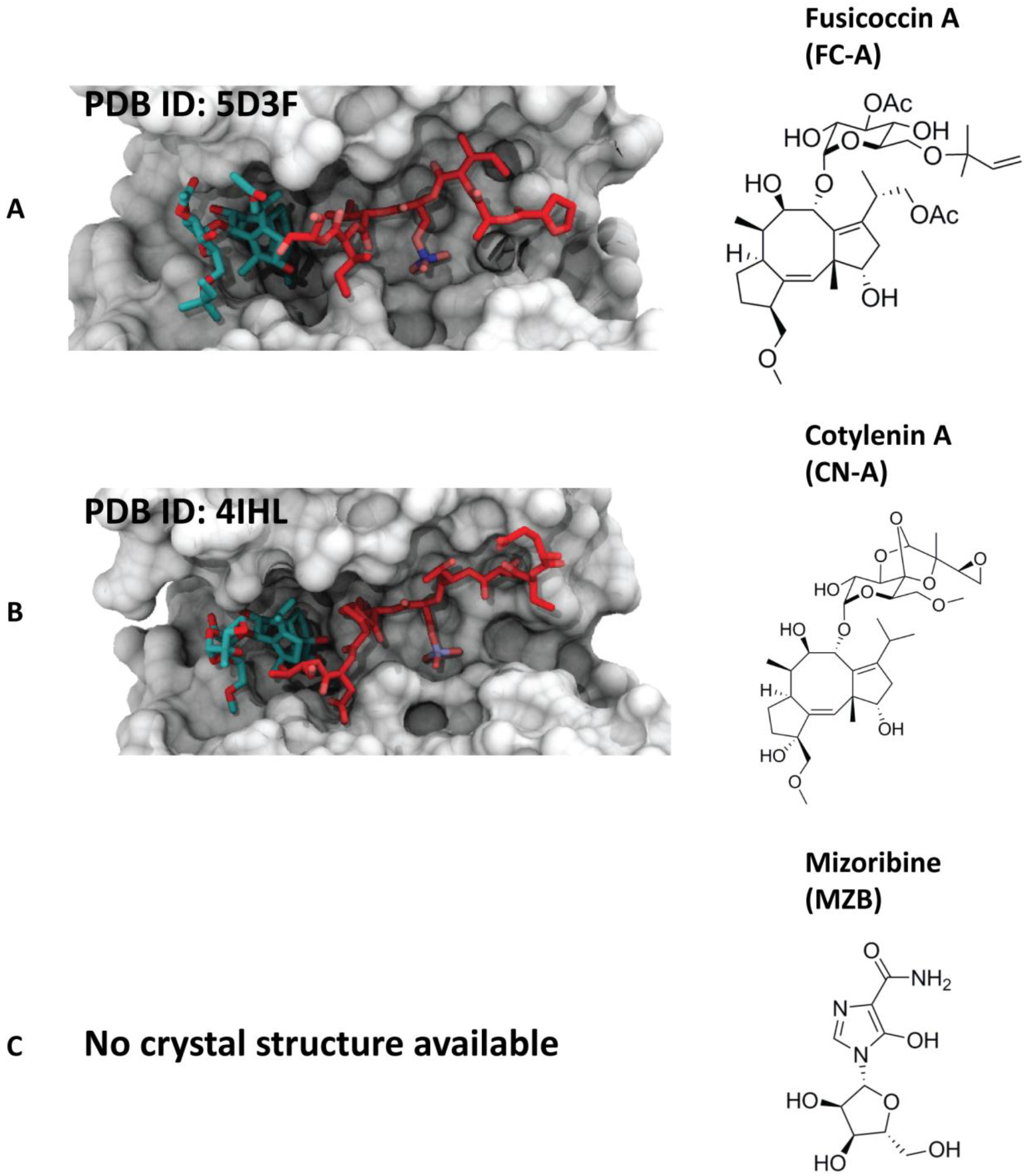Molecules 23 01386 g004 Molecules 23 01386 g004