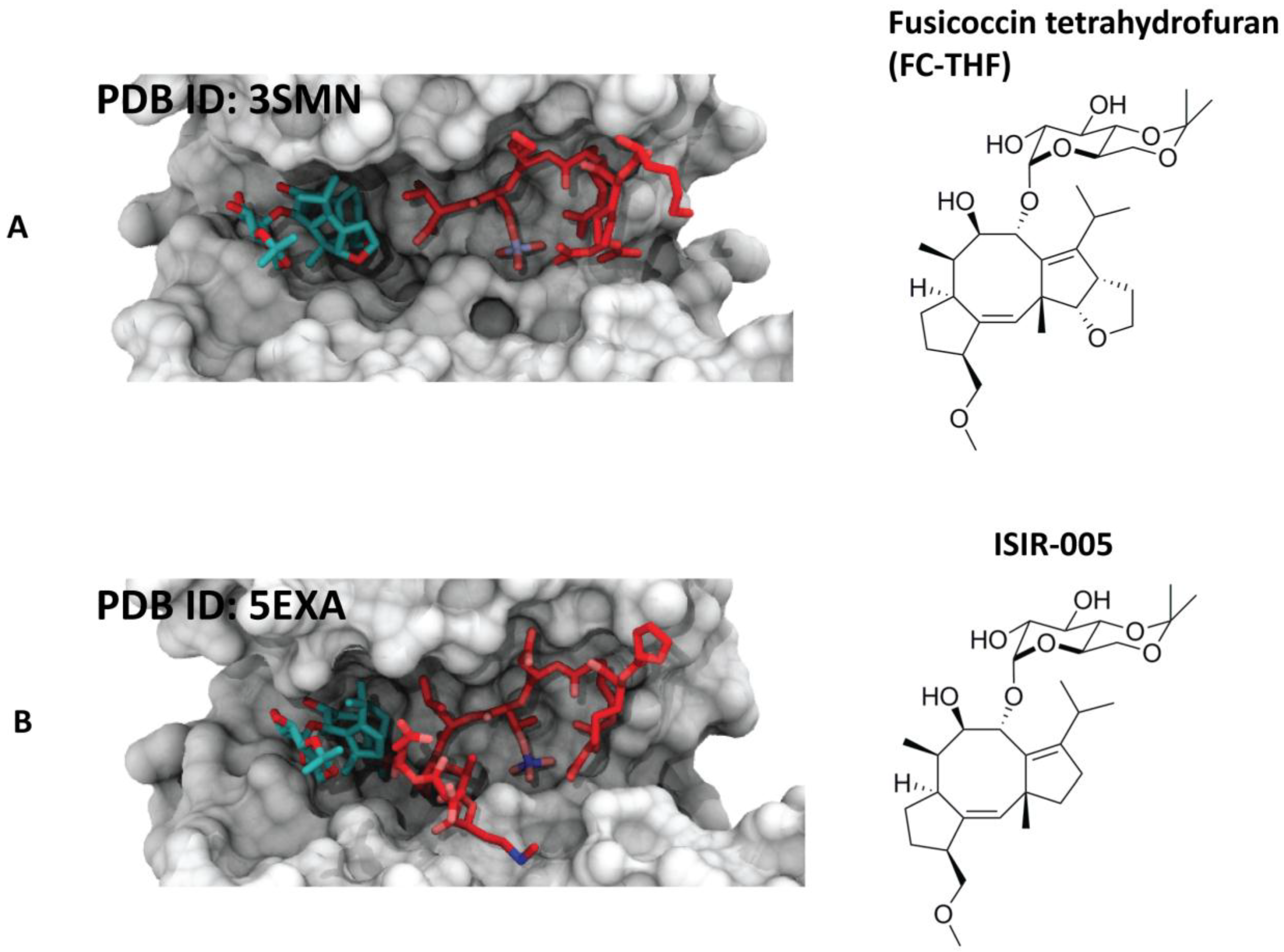 Molecules 23 01386 g005 Molecules 23 01386 g005