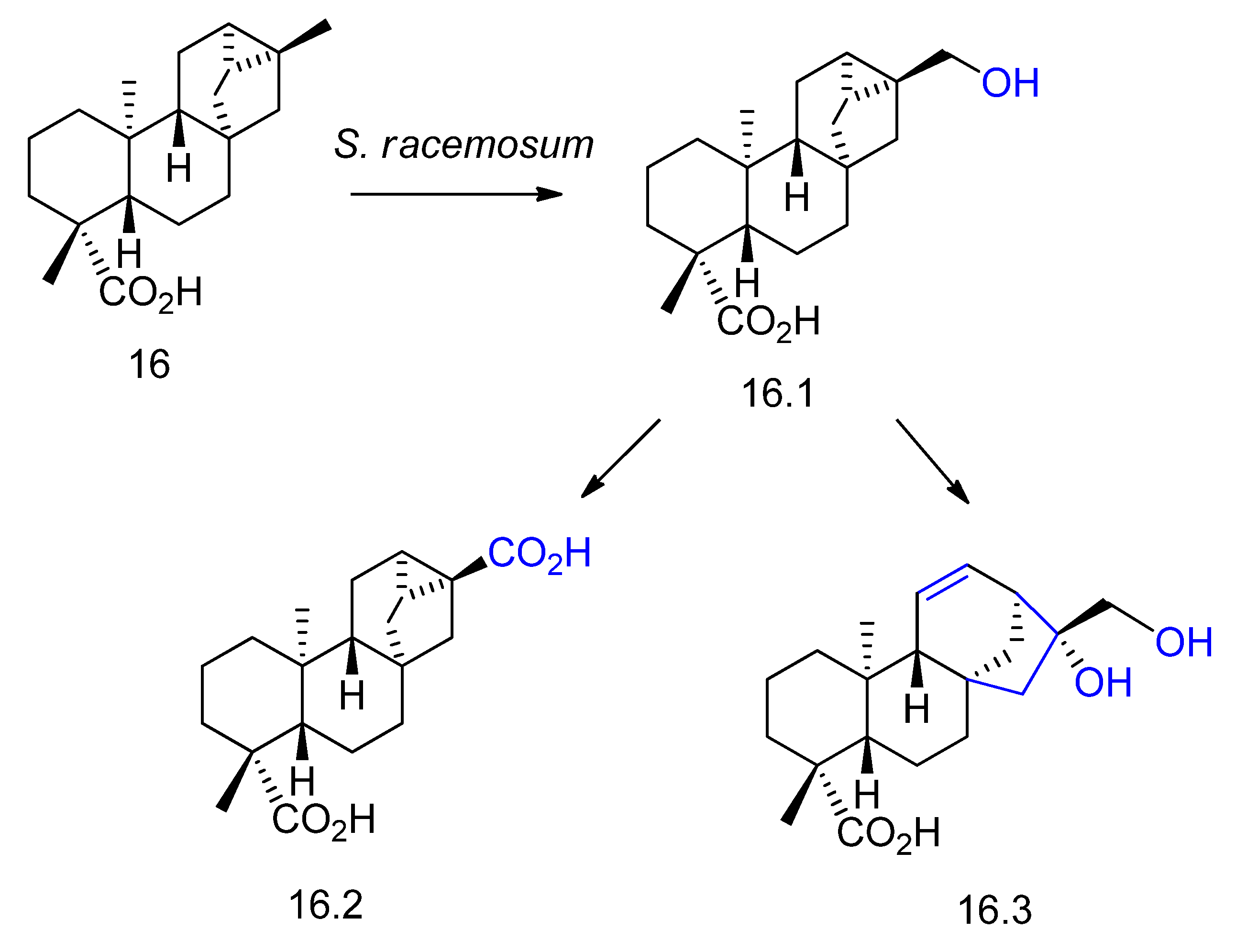Molecules 23 01387 g017
