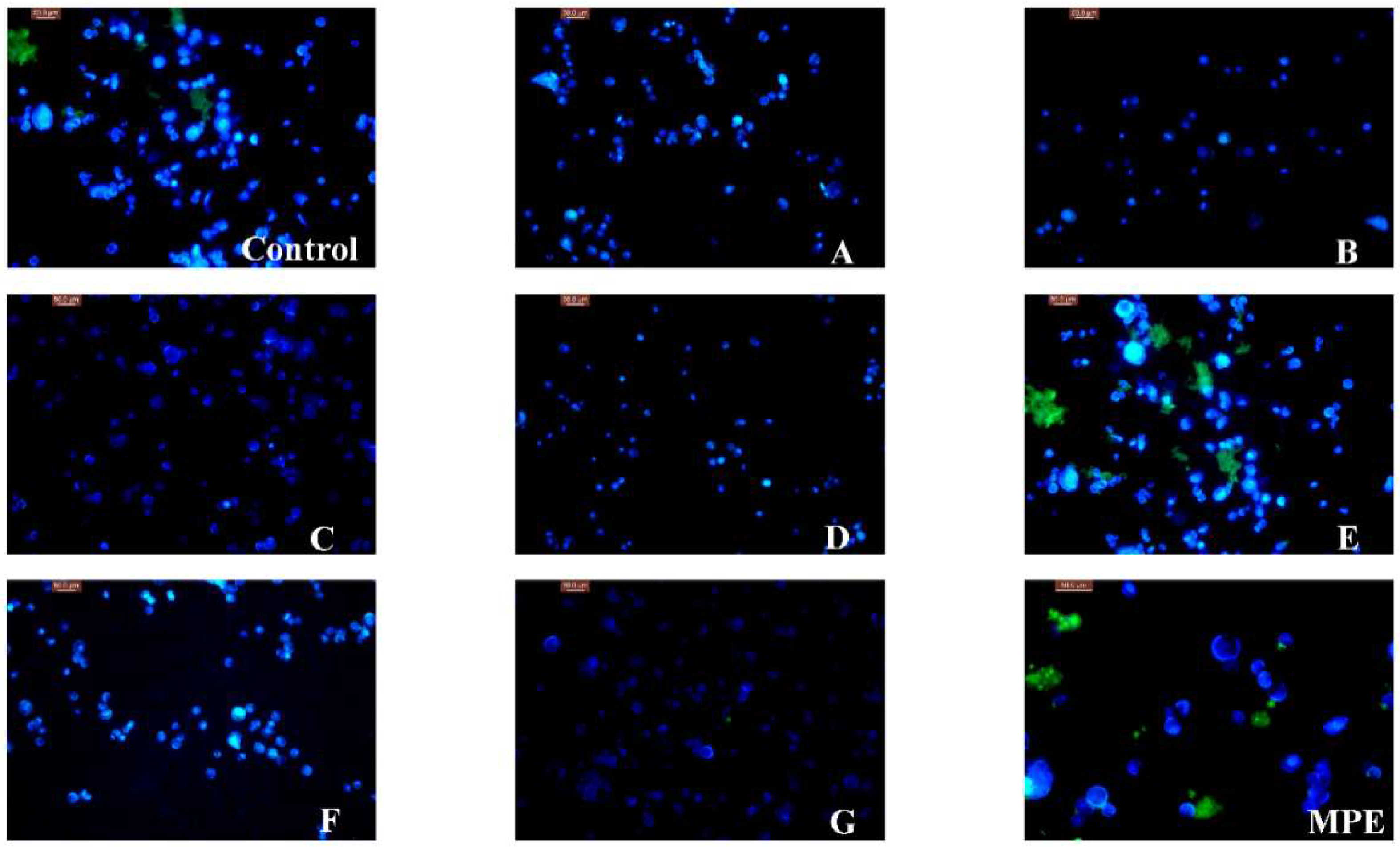 Molecules 23 01395 g003