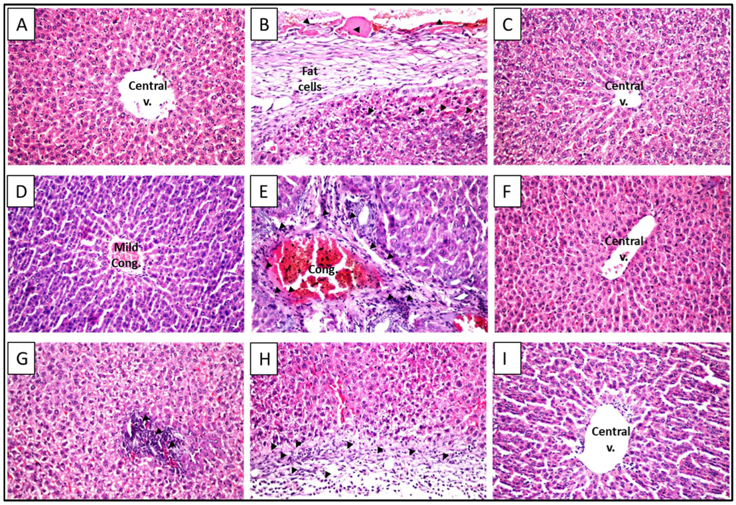 Molecules 23 01411 g003