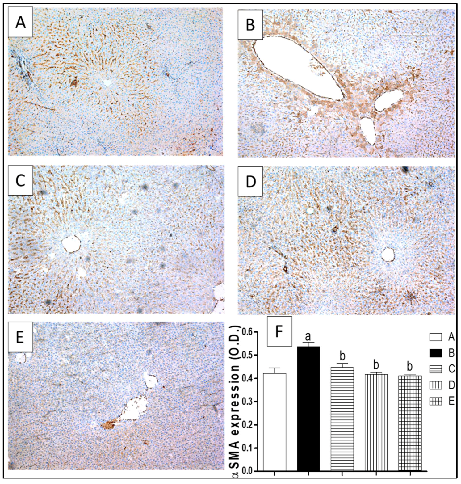Molecules 23 01411 g006