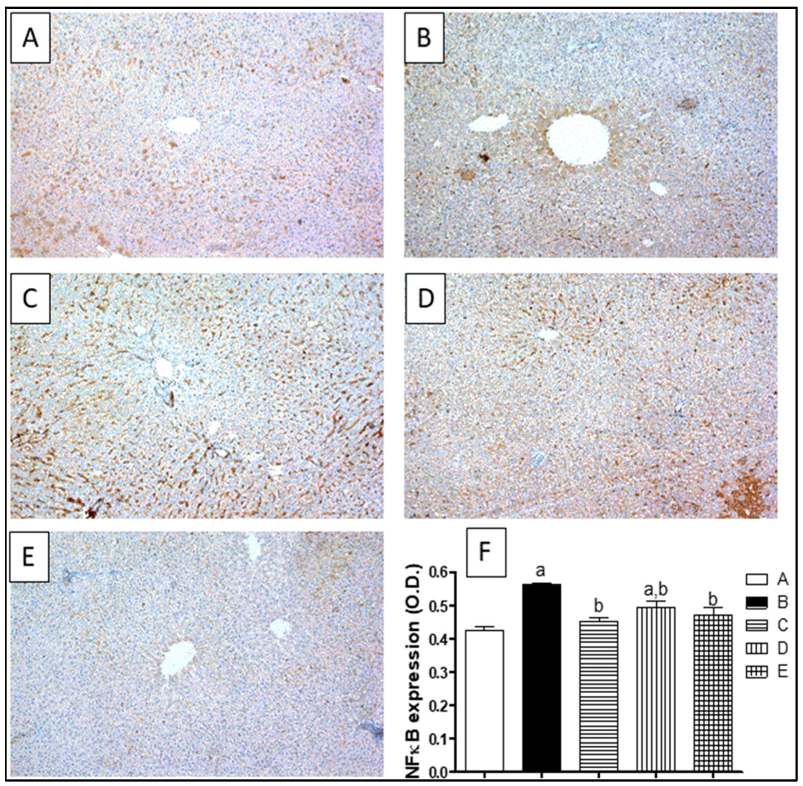 Molecules 23 01411 g008