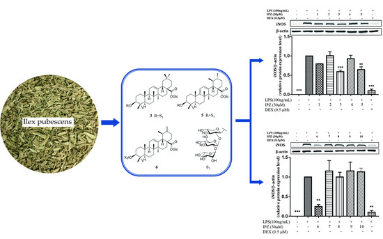 Molecules June 2018 Browse Articles