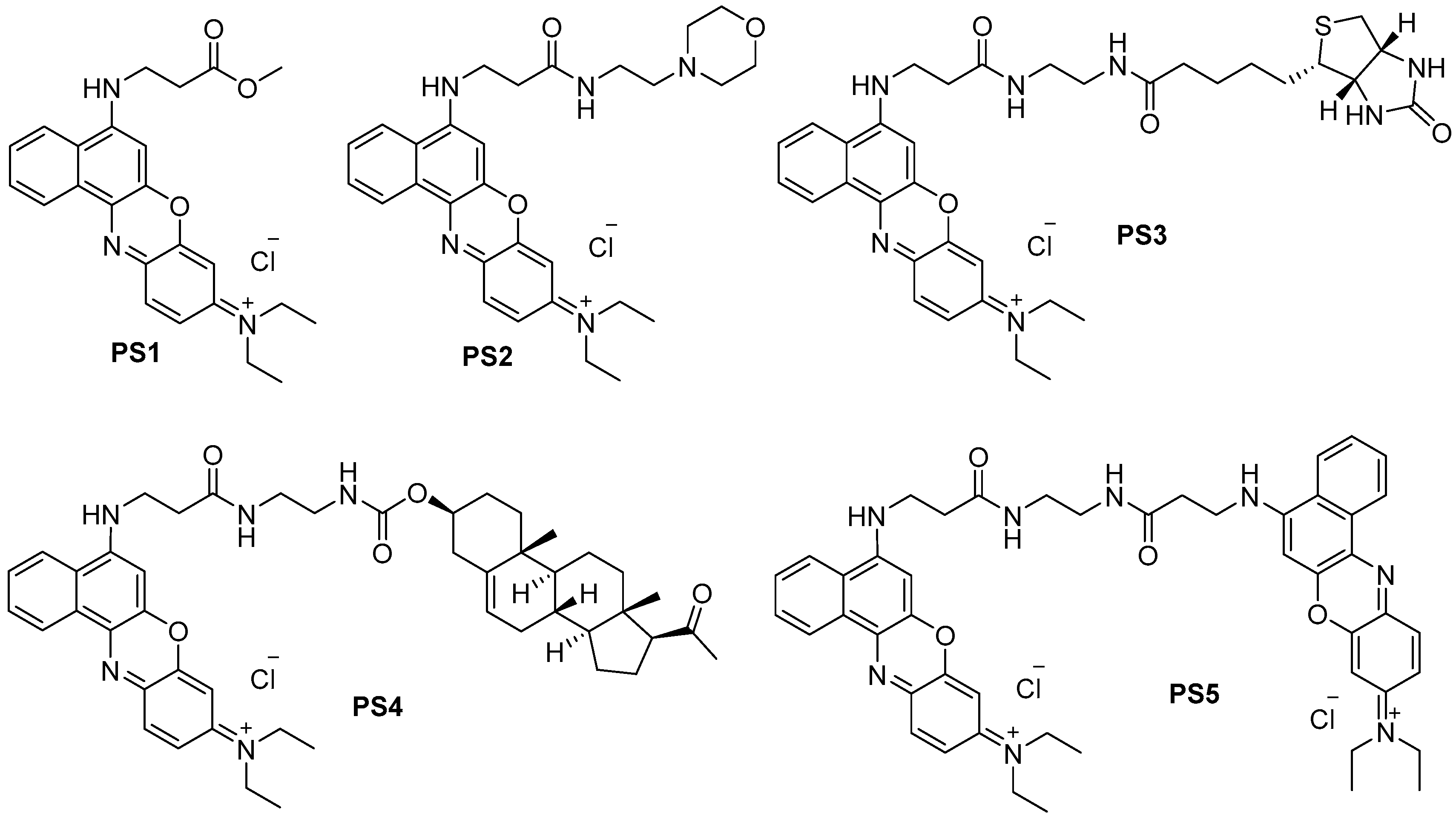 Molecules 23 01436 g001
