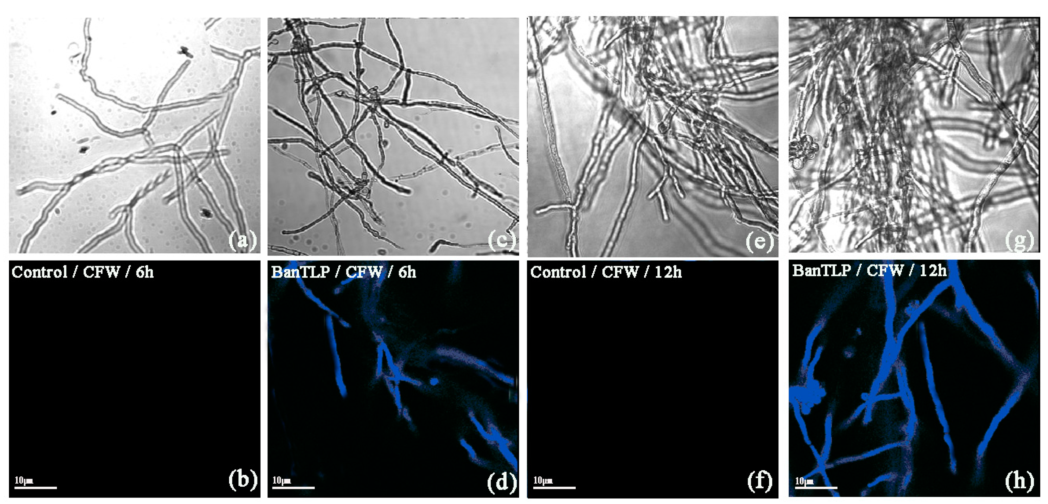 Molecules 23 01442 g005 Molecules 23 01442 g005