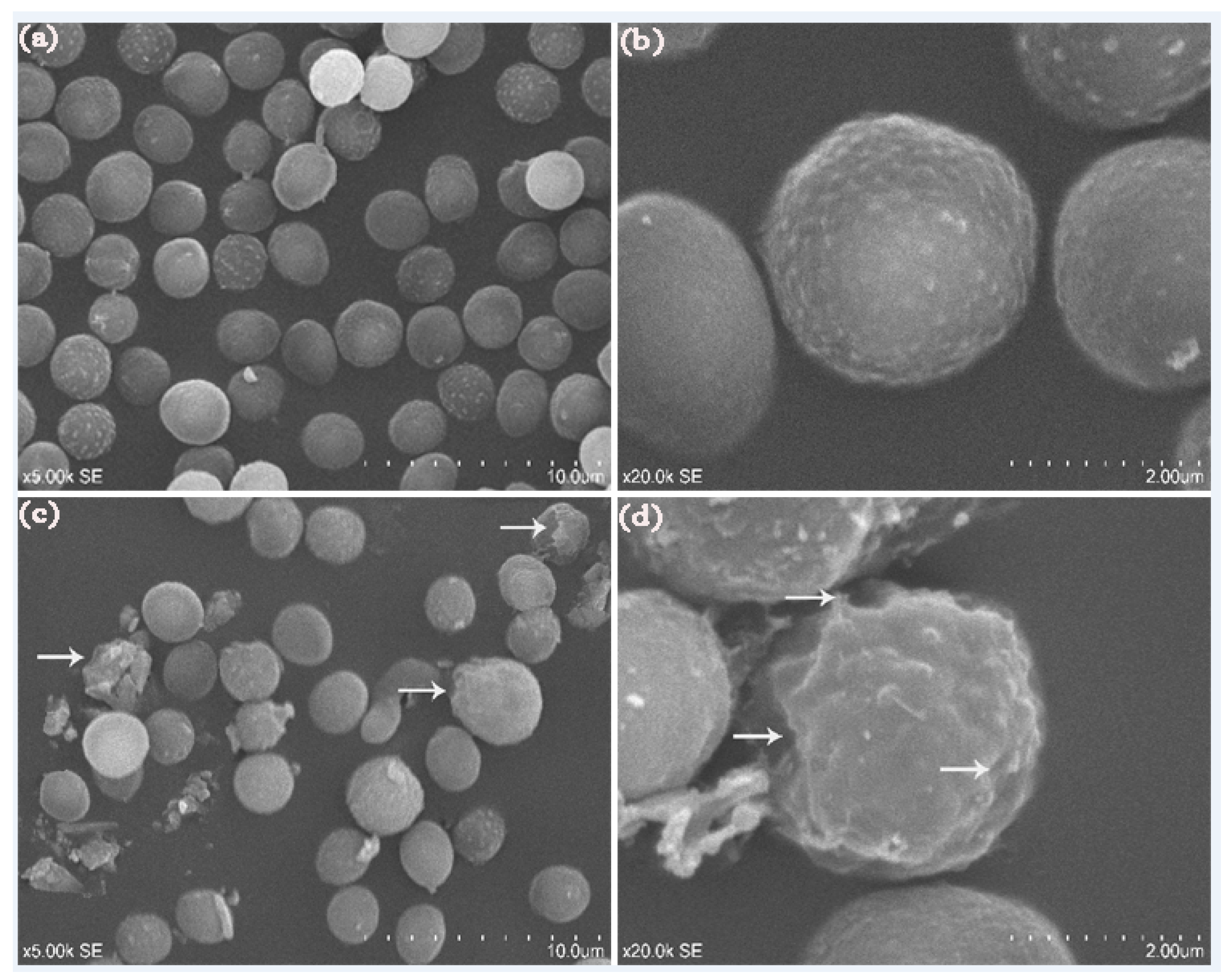Molecules 23 01442 g006 Molecules 23 01442 g006