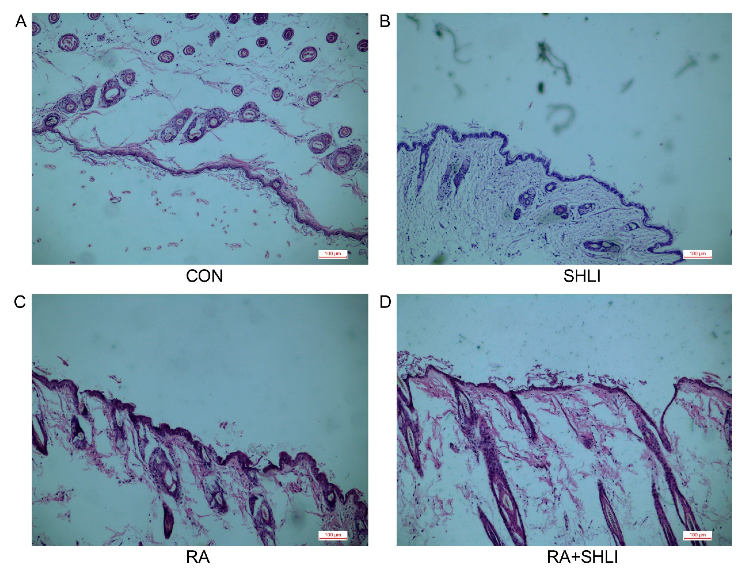 Molecules 23 01477 g005