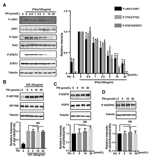 Effects of dietary supplementation with Bacillus velezensis on the growth  performance, body composition, antioxidant, immune-related gene expression,  and histology of Pacific white shrimp, Litopenaeus vannamei | BMC  Veterinary Research | Full Text