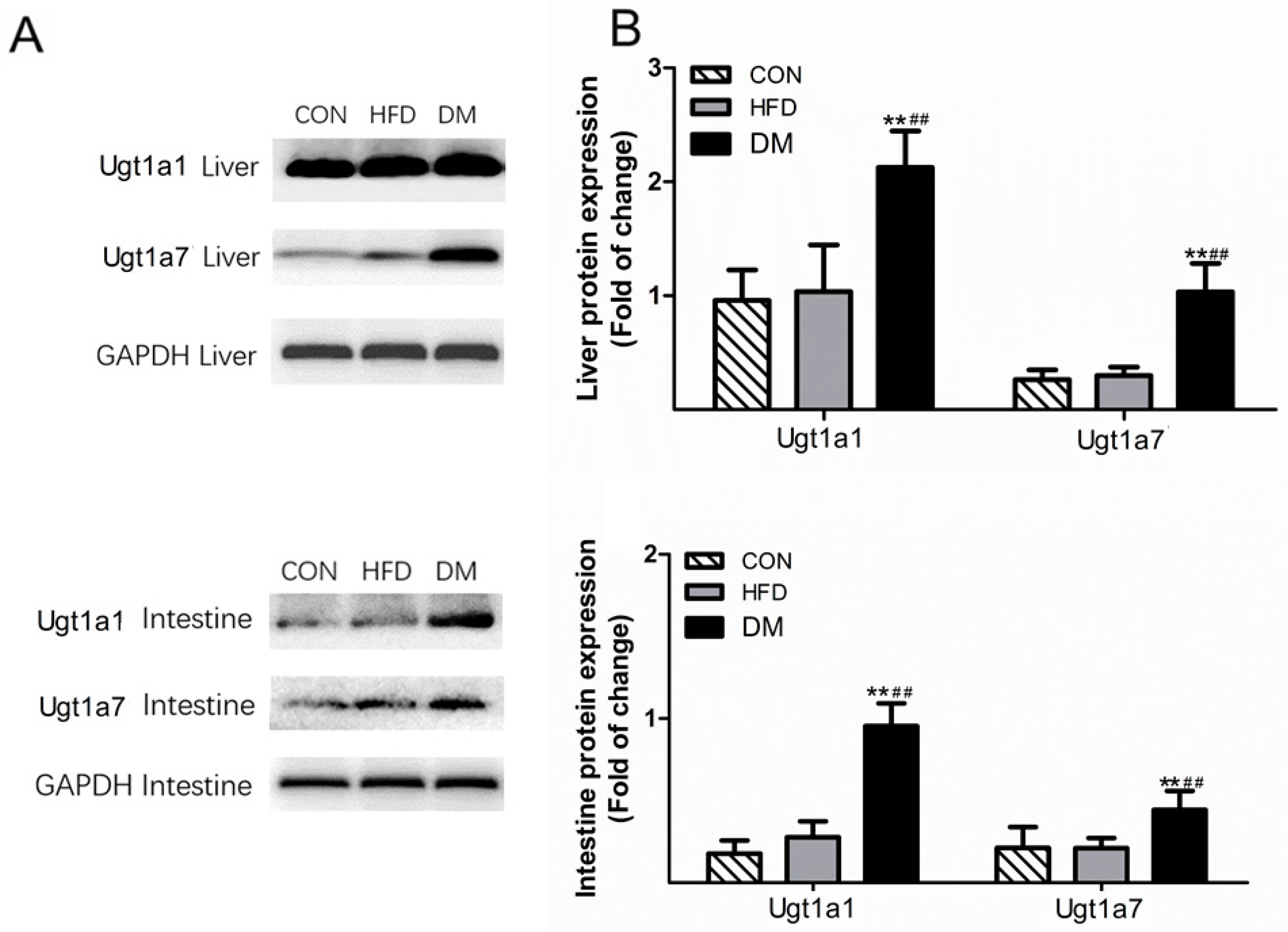Molecules 23 01487 g005 550