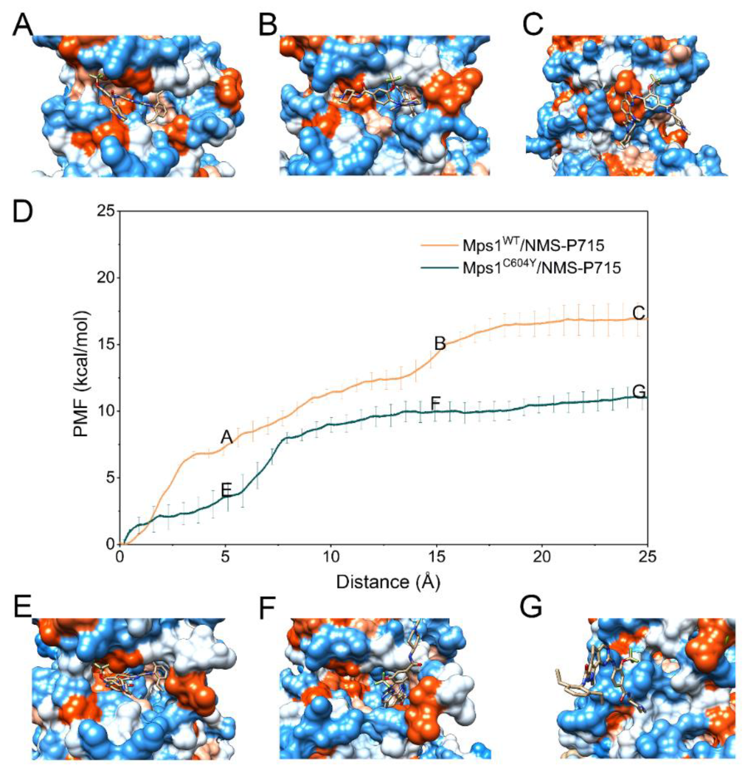 Molecules 23 01488 g010