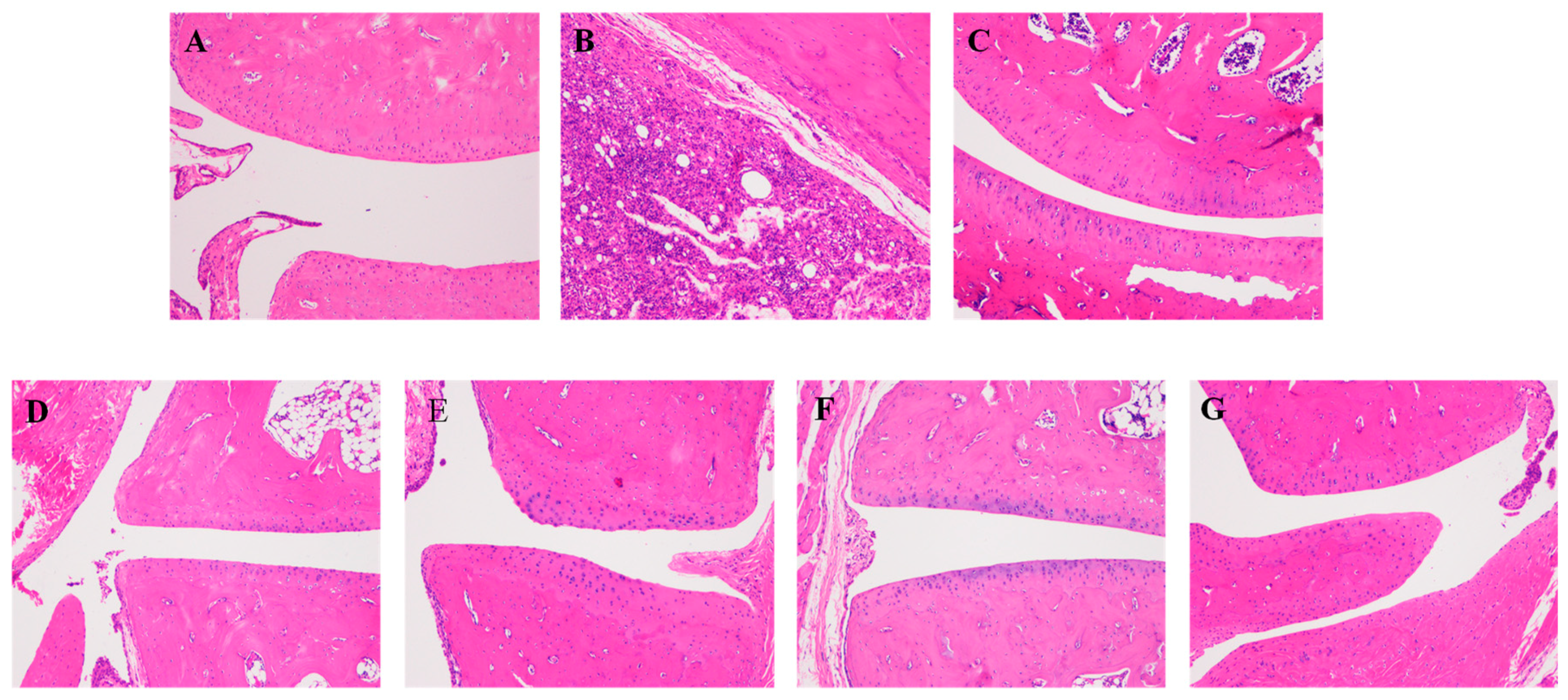 Molecules 23 01490 g003 Molecules 23 01490 g003