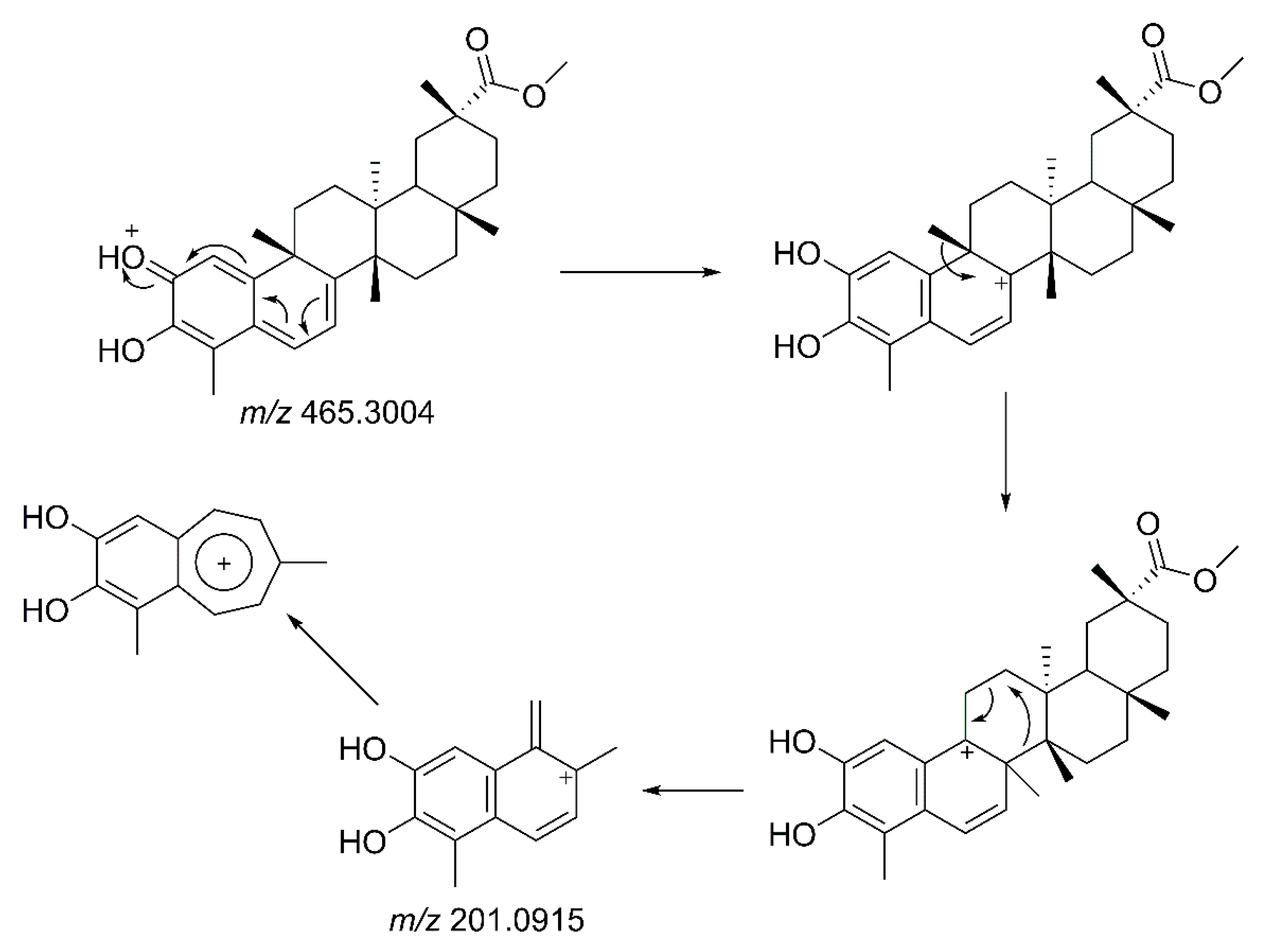 Molecules 23 01494 g003 550