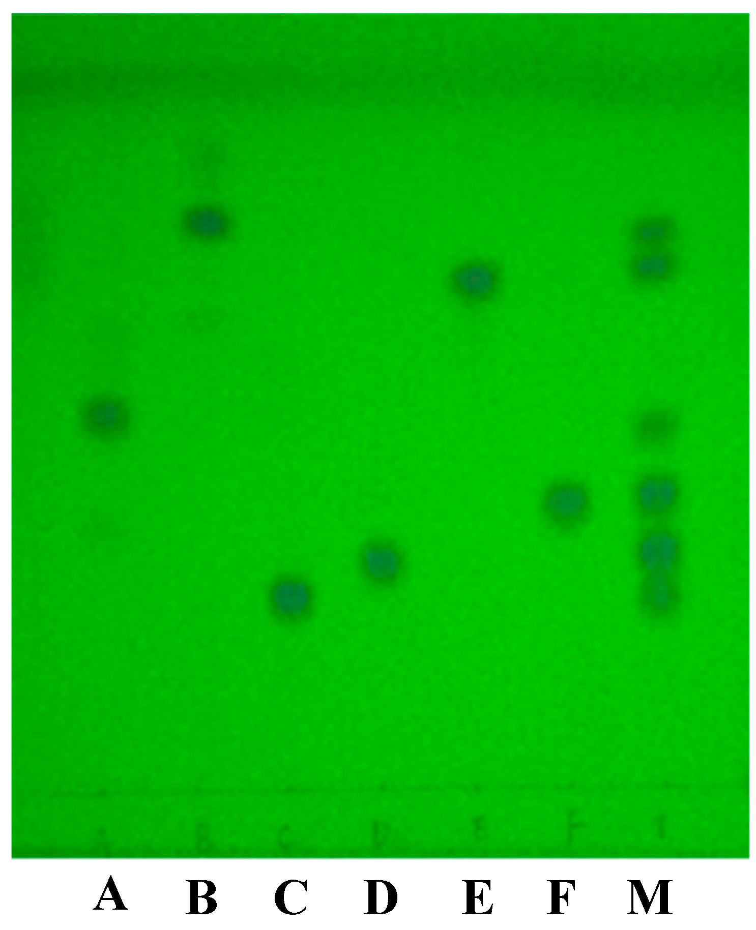 Molecules 23 01504 g001 550