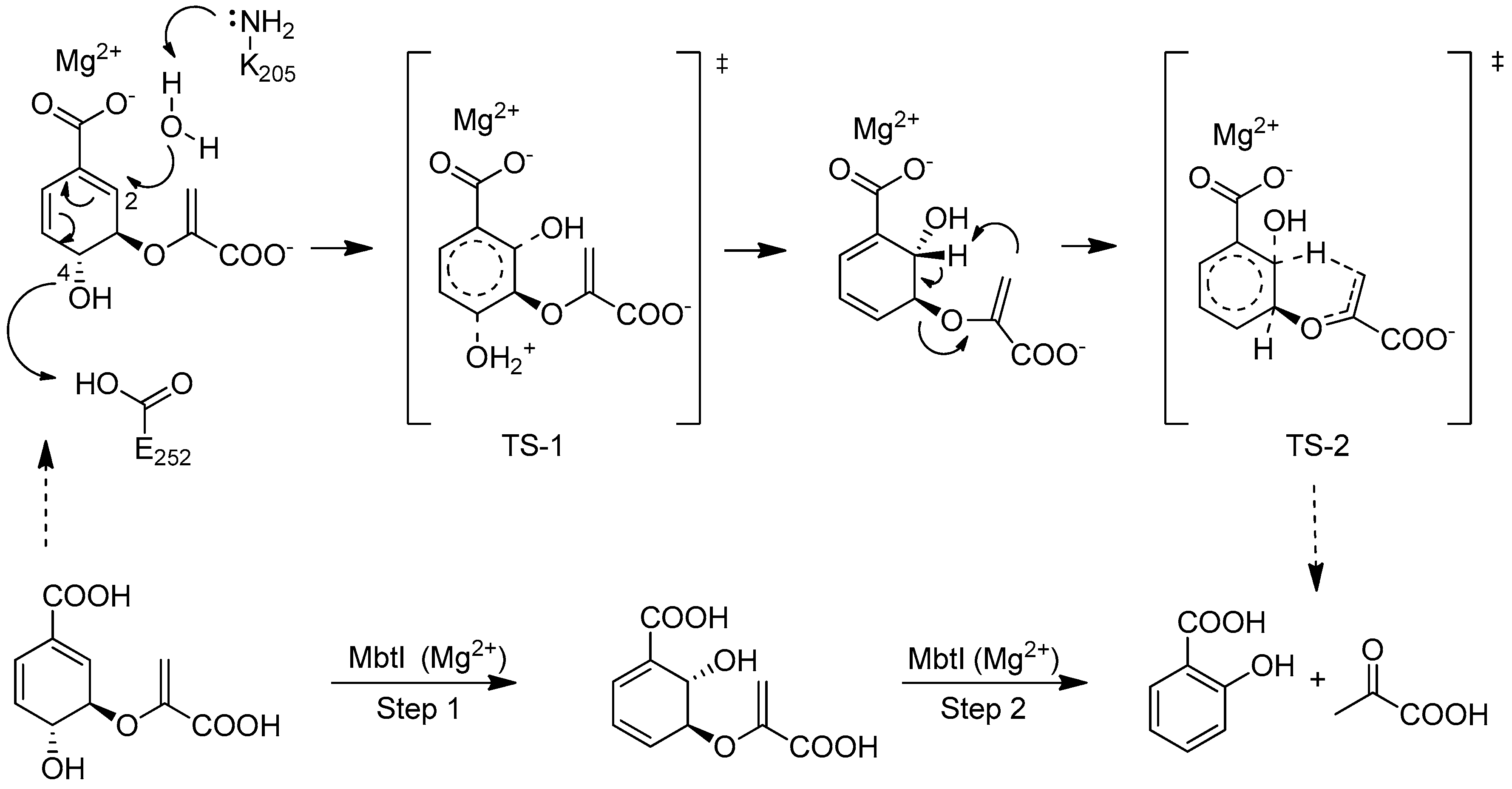 Molecules 23 01506 sch001