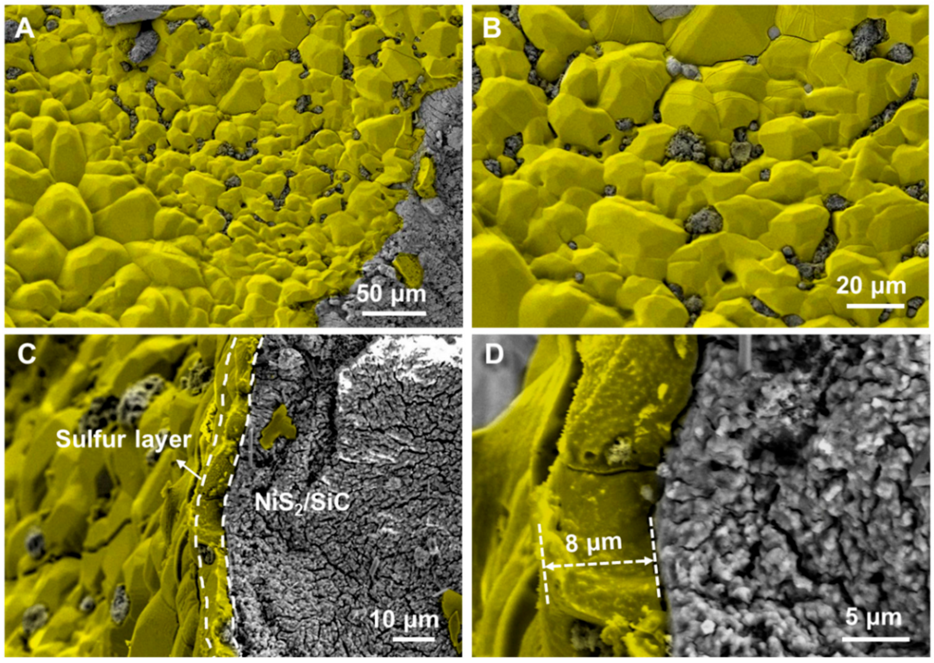 Molecules 23 01528 g005 Molecules 23 01528 g005